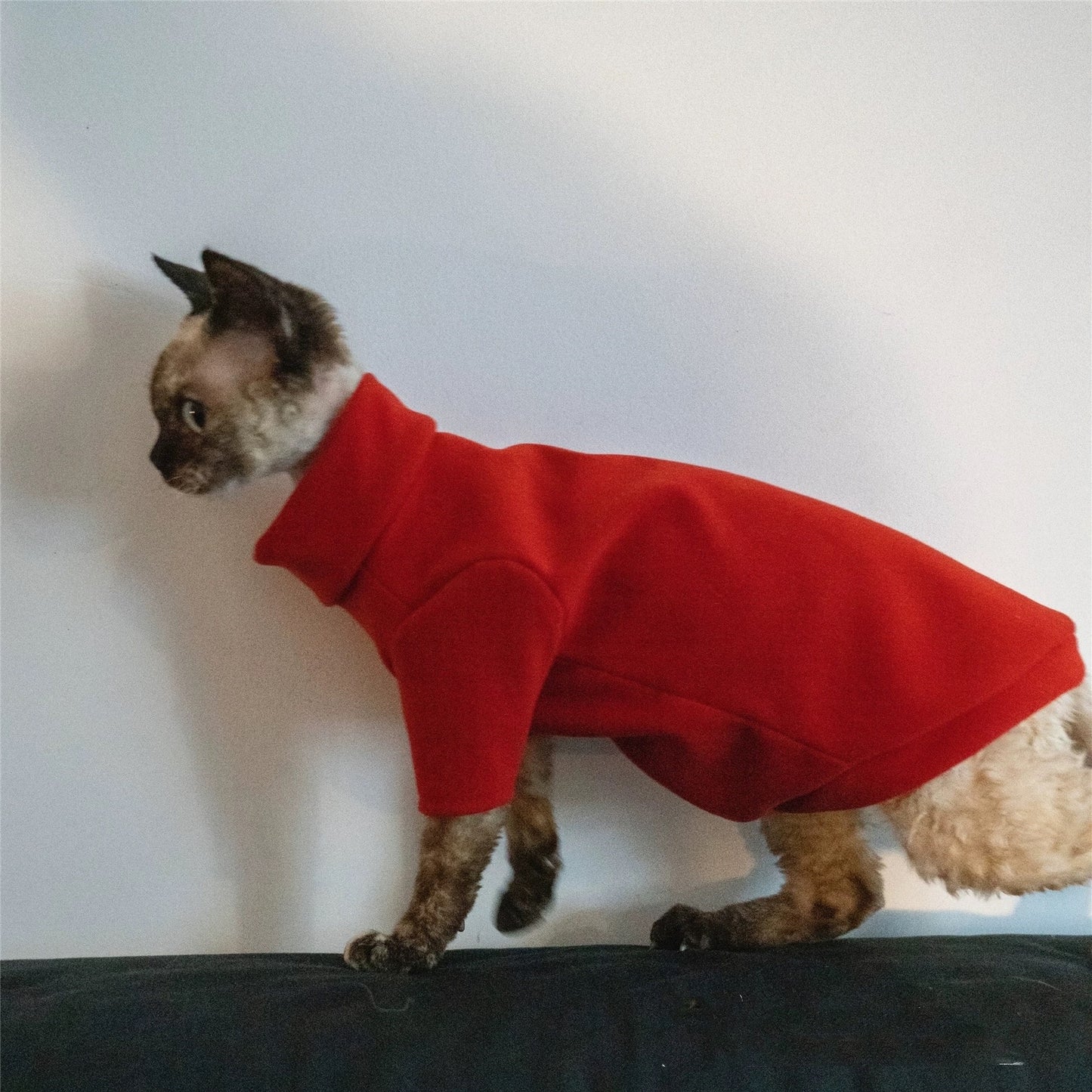 New Year Sphynx Hairless Cats Sweatshirt Sweater, Winter Warm Jumper for Bambino Devon Rex Sphynx Cat