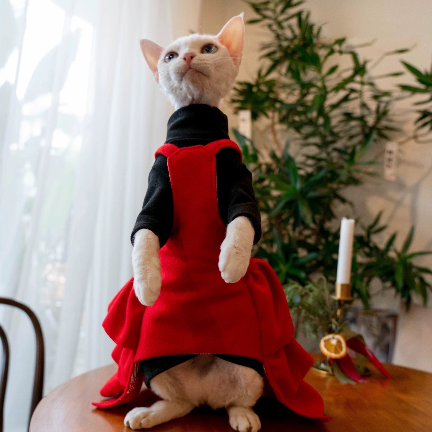 Christmas Sphynx Hairless Cats Red Dress, Winter Warm Dress for Bambino Devon Rex Sphynx Cat