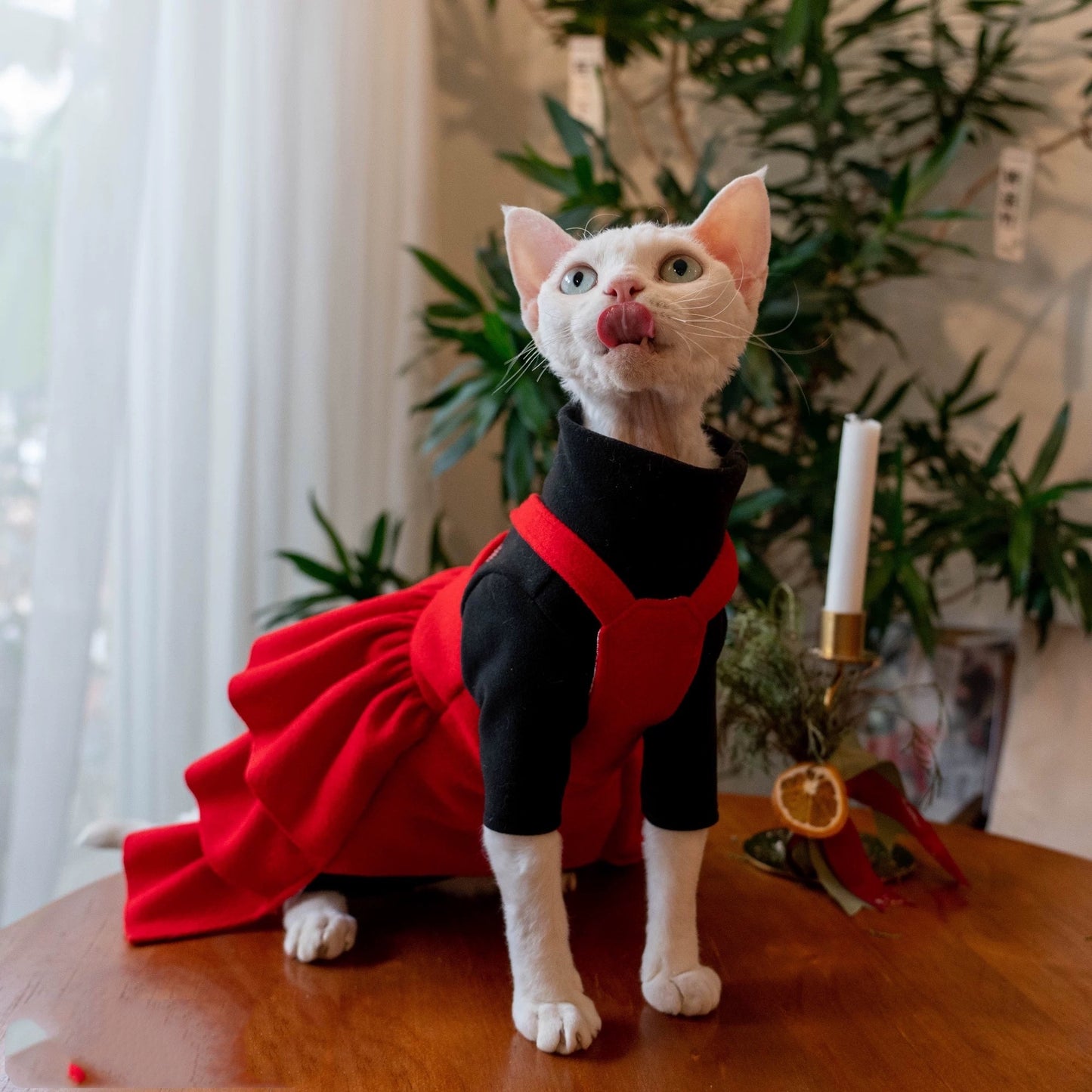 Christmas Sphynx Hairless Cats Red Dress, Winter Warm Dress for Bambino Devon Rex Sphynx Cat