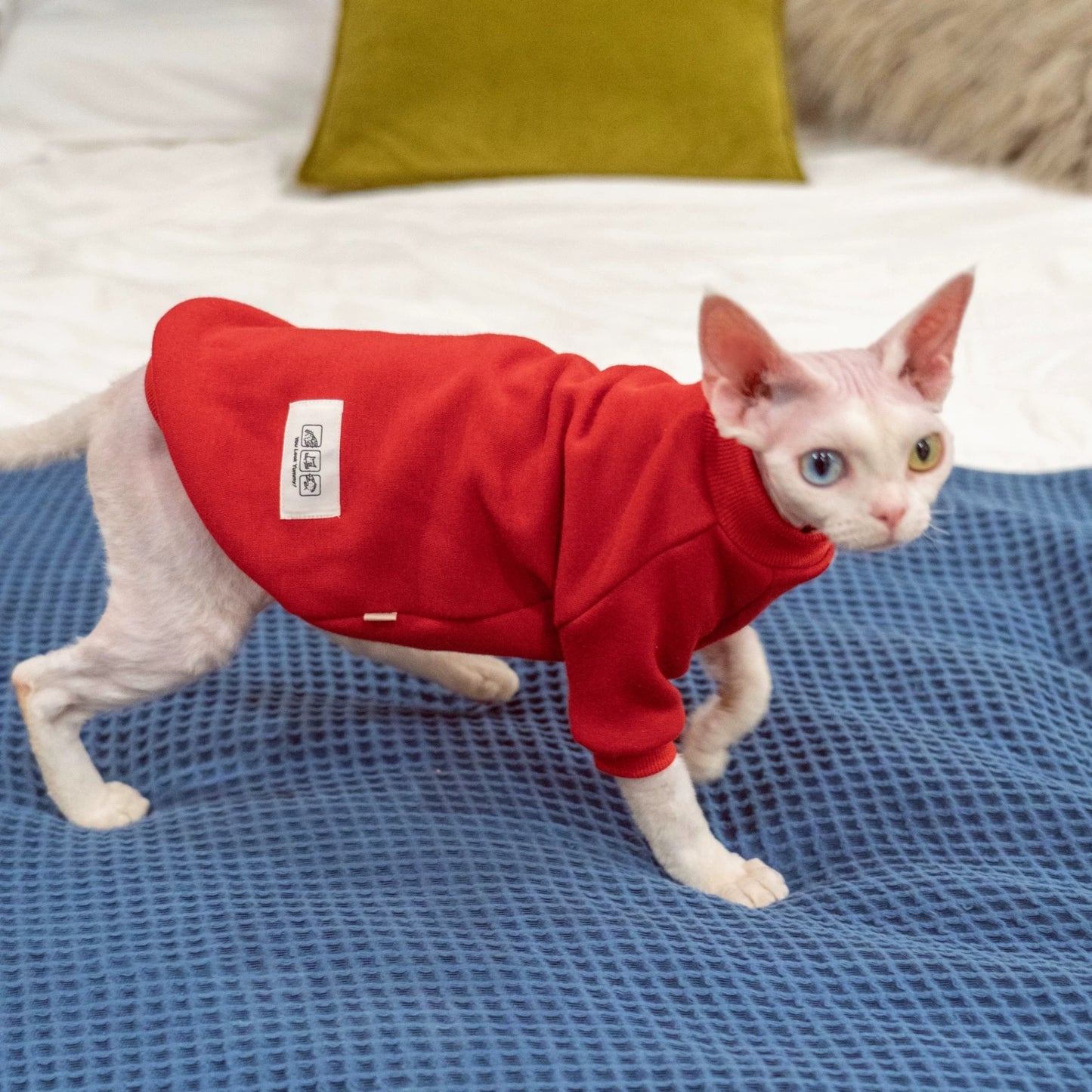 Sphynx Hairless Cats Sweatshirt, Winter Warm Jumper for Bambino Devon Rex Sphynx Cat