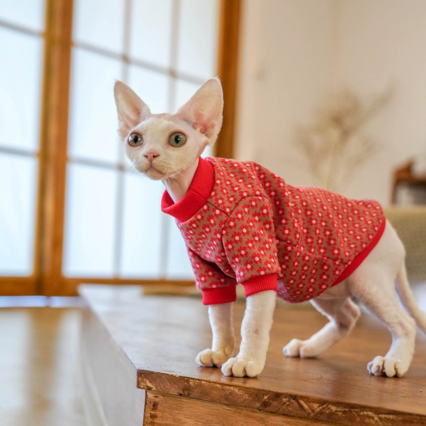 New Year Sphynx Hairless Cats Sweatshirt, Winter Warm Jumper for Bambino Devon Rex Sphynx Cat