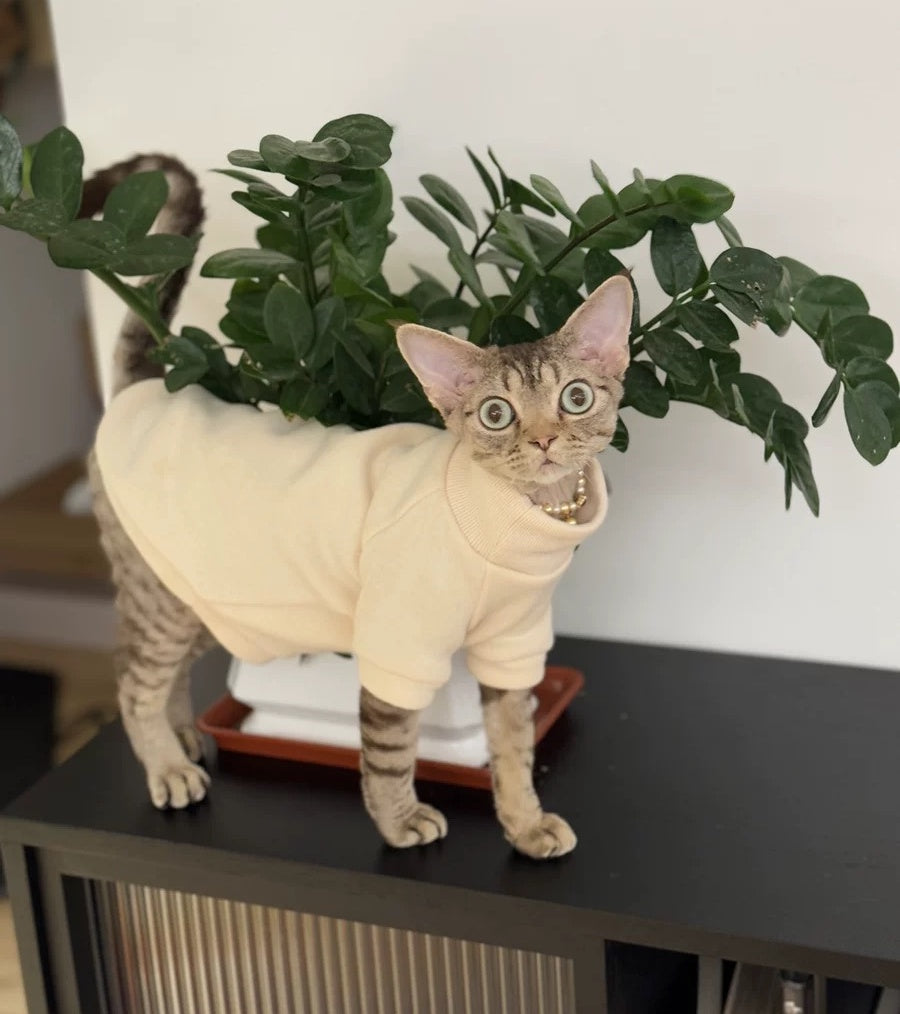 Sphynx Hairless Cats Sweatshirt, Winter Warm Kitten Clothing for Bambino Devon Rex Sphynx Cat