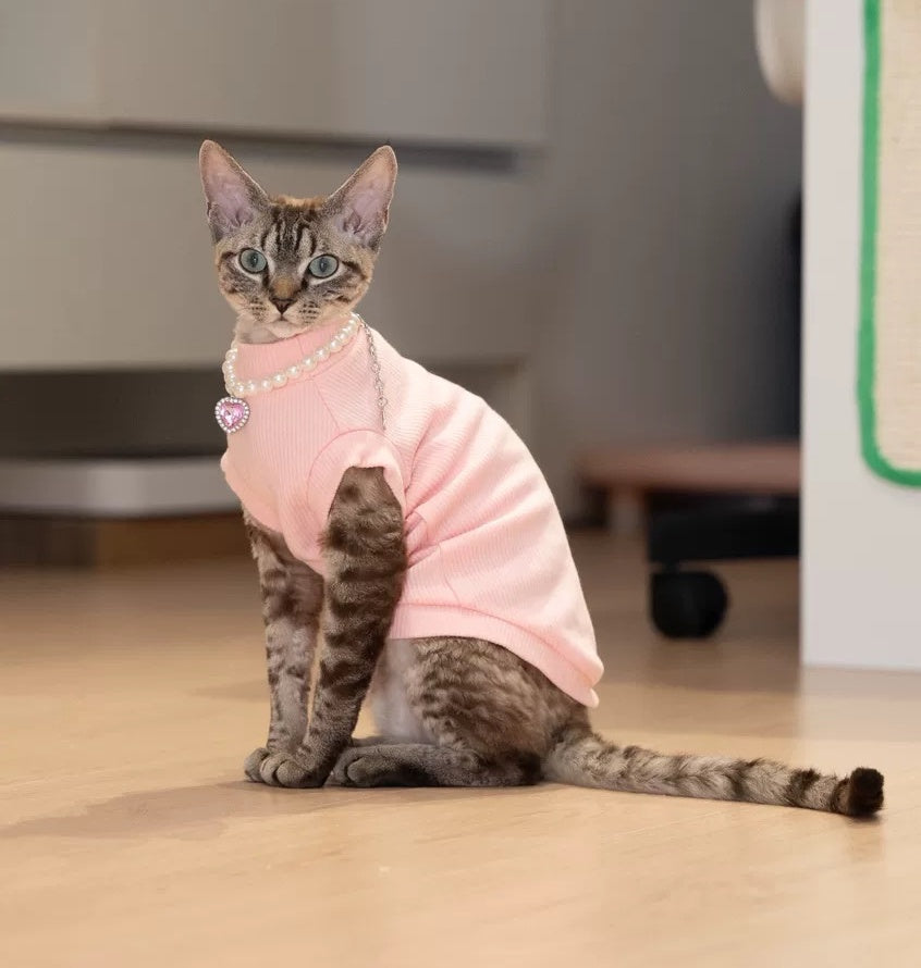 Sphynx Hairless Cats Sweatshirt, Winter Warm Kitten Clothing for Bambino Devon Rex Sphynx Cat