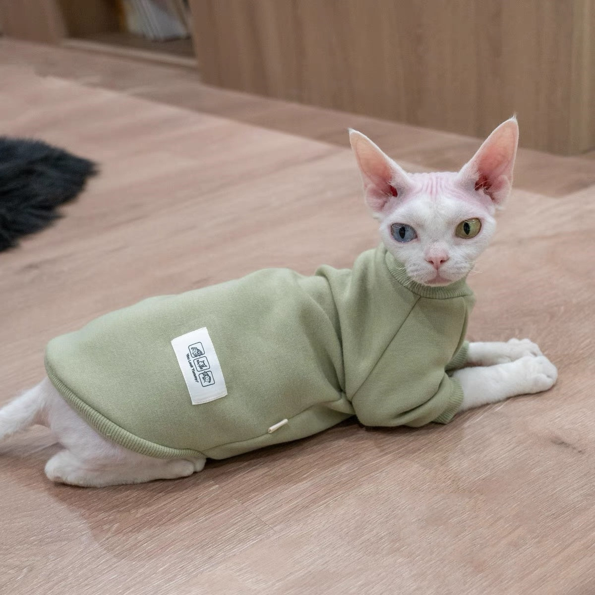 Sphynx Hairless Cats Sweatshirt, Winter Warm Jumper for Bambino Devon Rex Sphynx Cat