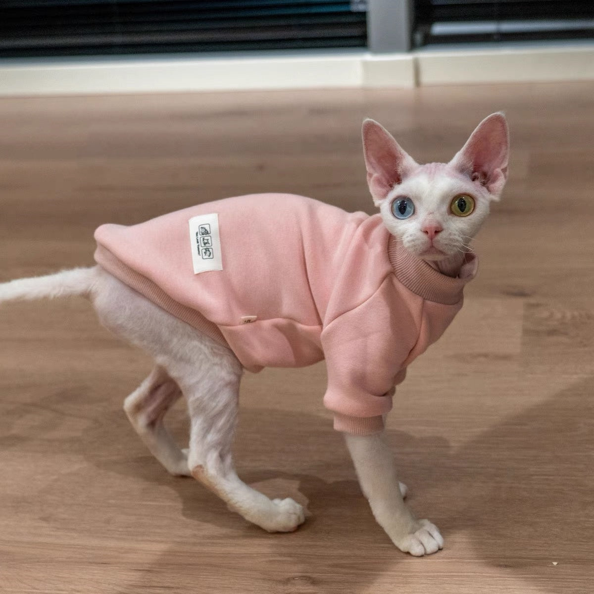 Sphynx Hairless Cats Sweatshirt, Winter Warm Jumper for Bambino Devon Rex Sphynx Cat