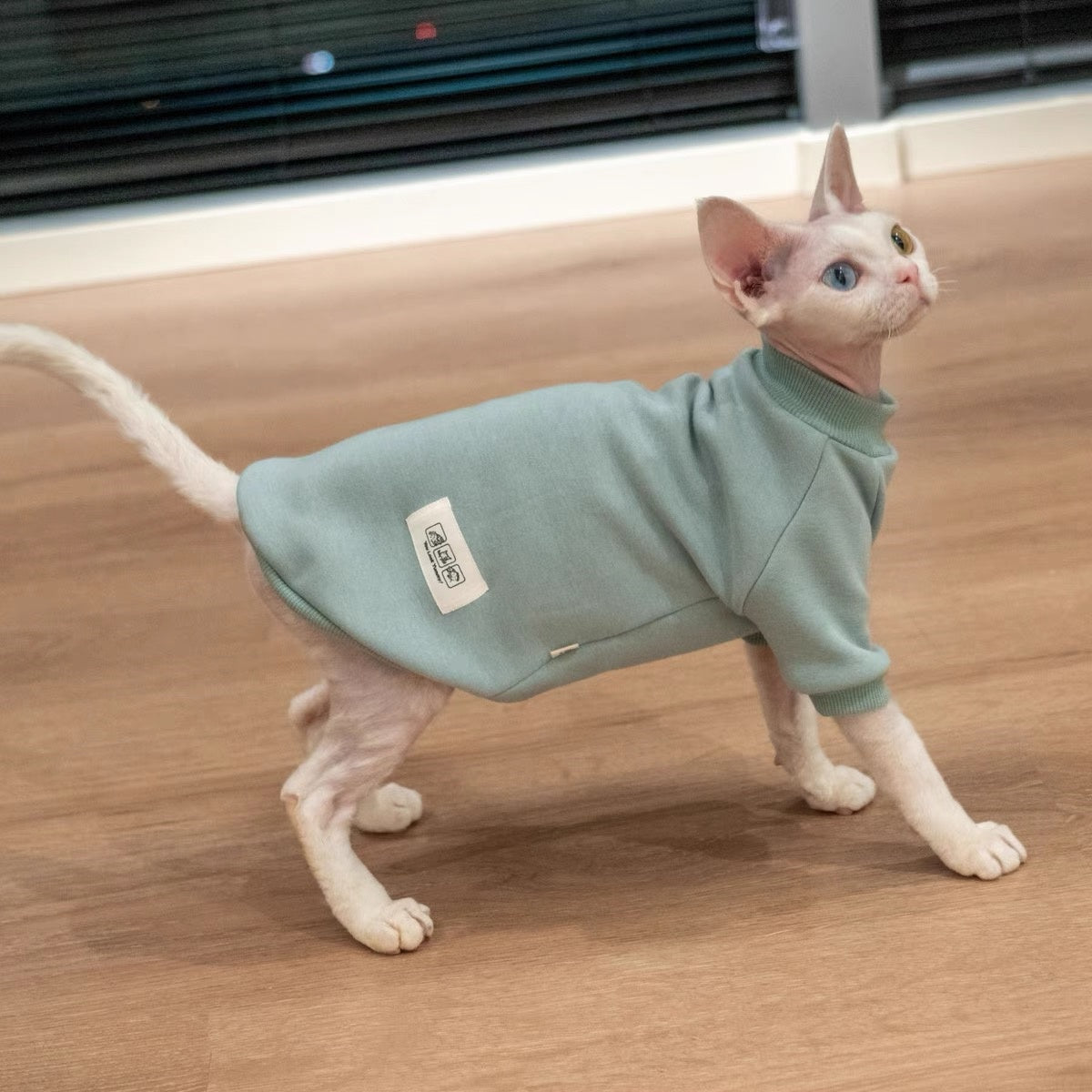 Sphynx Hairless Cats Sweatshirt, Winter Warm Jumper for Bambino Devon Rex Sphynx Cat