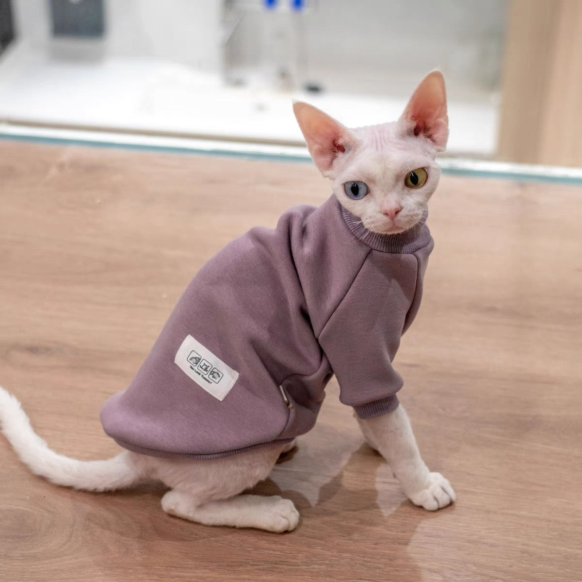 Sphynx Hairless Cats Sweatshirt, Winter Warm Jumper for Bambino Devon Rex Sphynx Cat