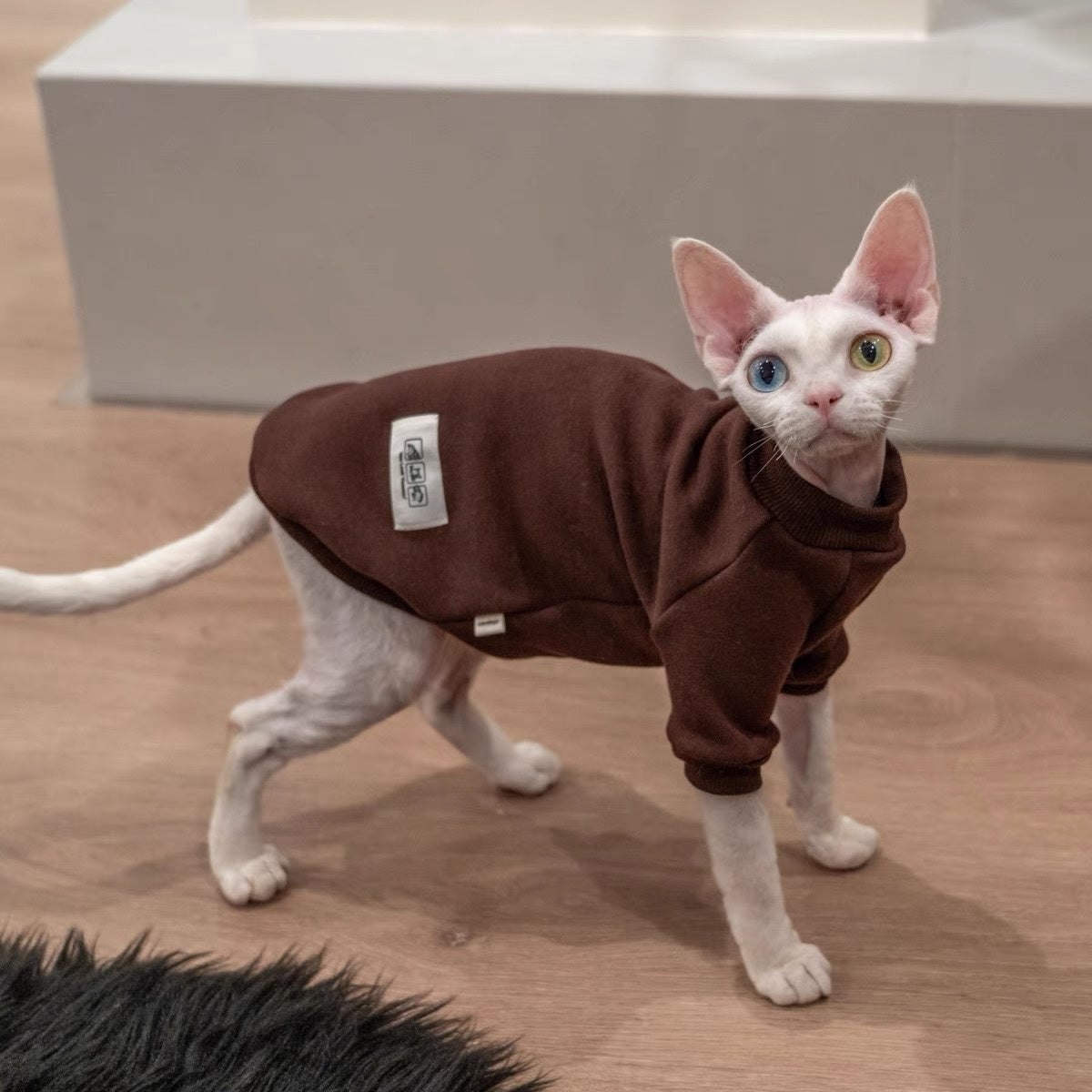 Sphynx Hairless Cats Sweatshirt, Winter Warm Jumper for Bambino Devon Rex Sphynx Cat