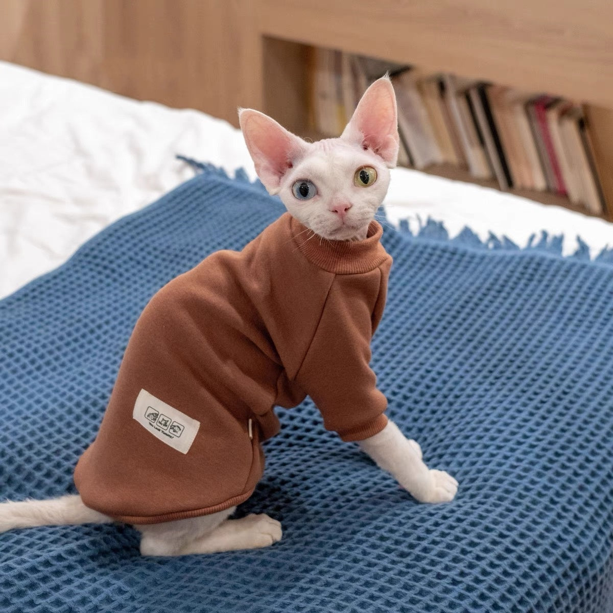 Sphynx Hairless Cats Sweatshirt, Winter Warm Jumper for Bambino Devon Rex Sphynx Cat