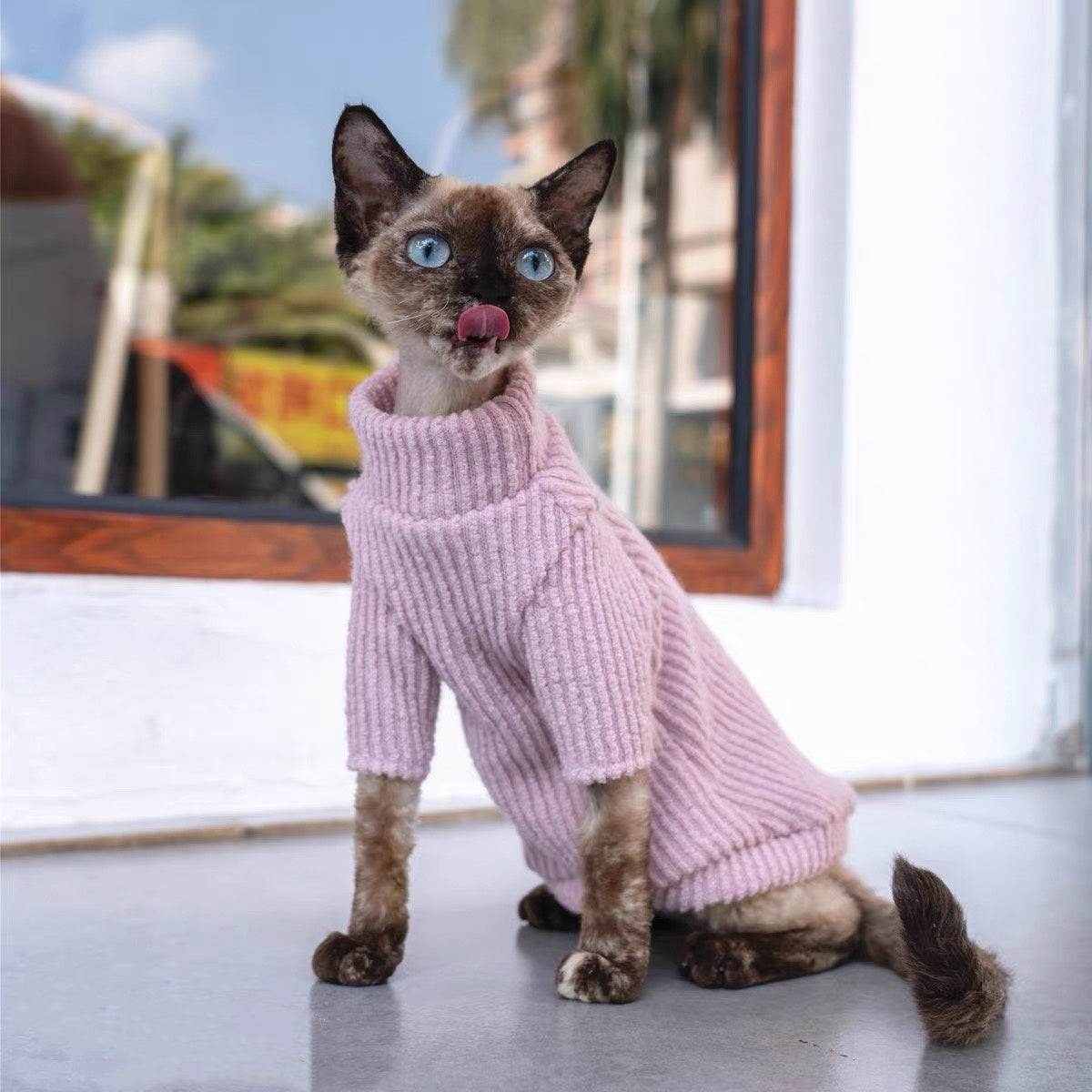 Sphynx Hairless Cats Sweater, Winter Warm Jumper for Bambino Devon Rex Sphynx Cat