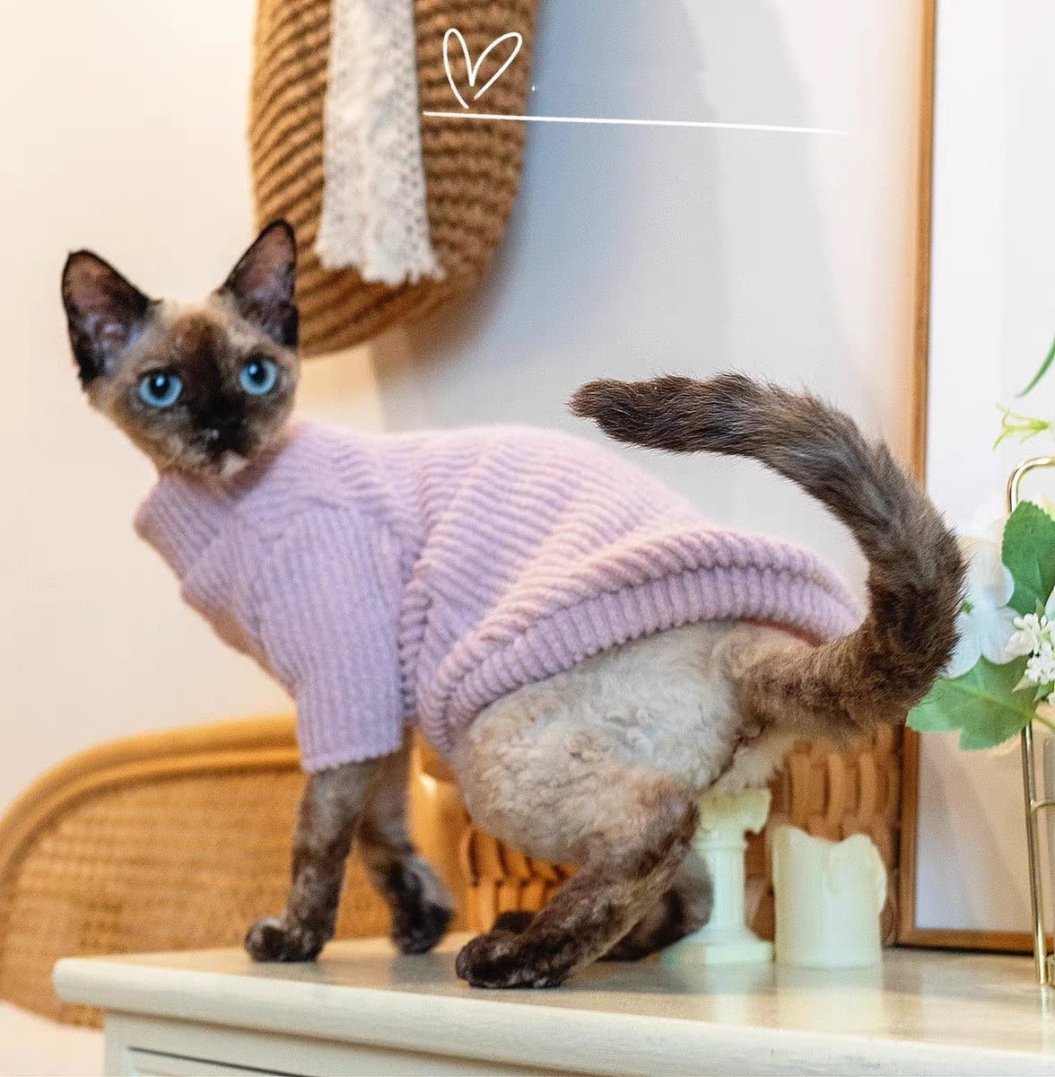 Sphynx Hairless Cats Sweater, Winter Warm Jumper for Bambino Devon Rex Sphynx Cat