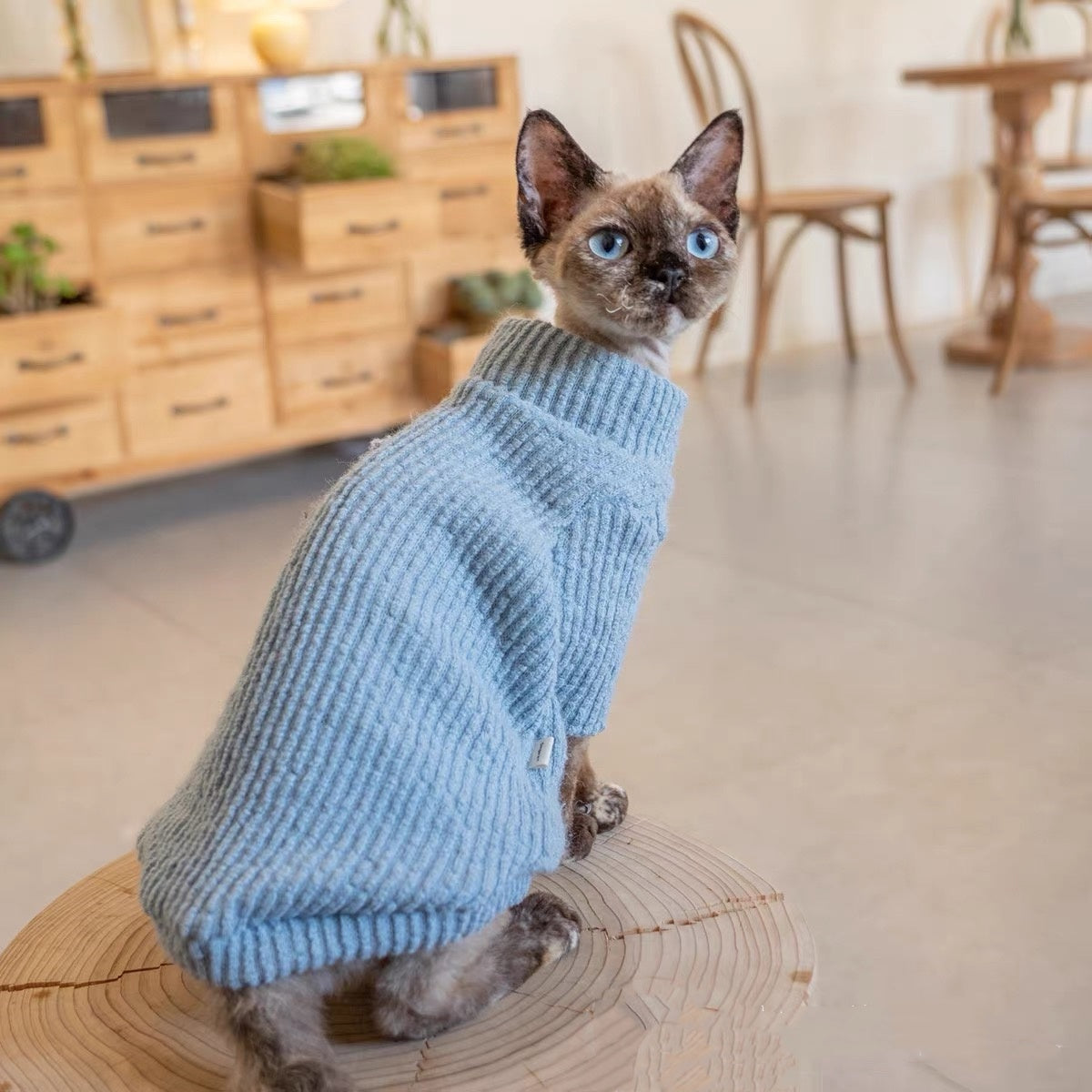 Sphynx Hairless Cats Sweater, Winter Warm Jumper for Bambino Devon Rex Sphynx Cat