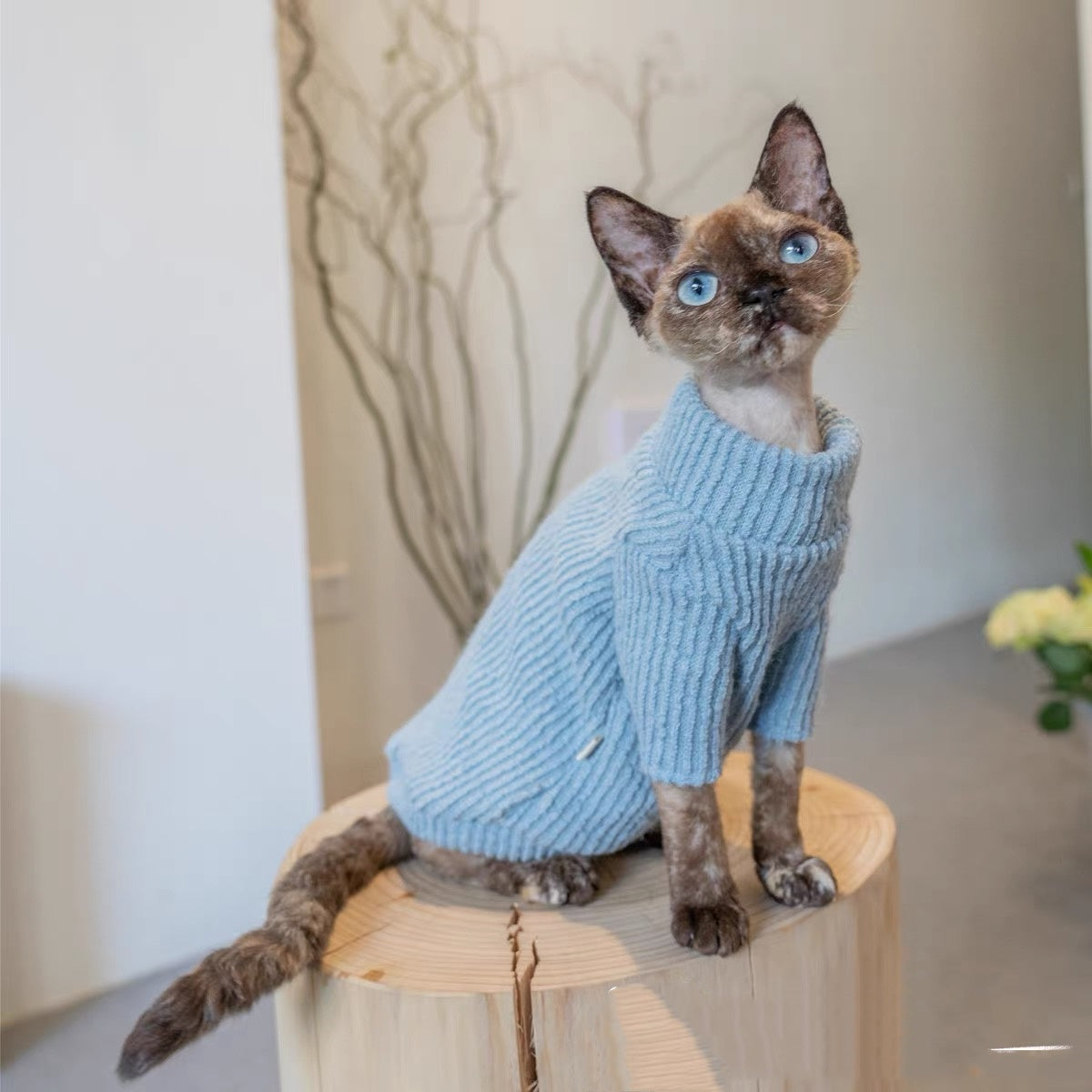 Sphynx Hairless Cats Sweater, Winter Warm Jumper for Bambino Devon Rex Sphynx Cat