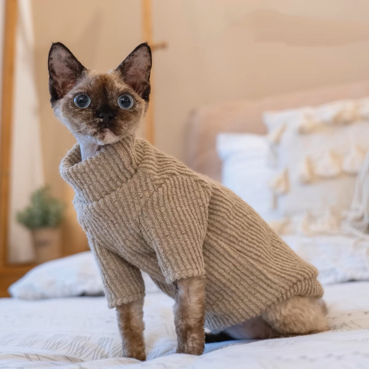 Sphynx Hairless Cats Sweater, Winter Warm Jumper for Bambino Devon Rex Sphynx Cat