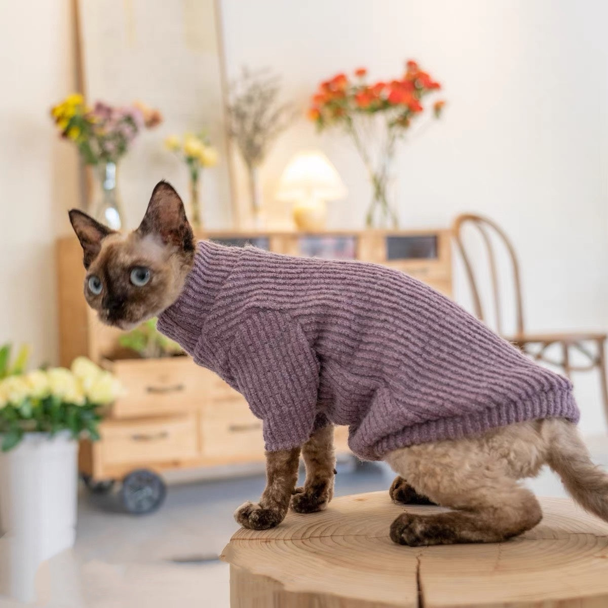 Sphynx Hairless Cats Sweater, Winter Warm Jumper for Bambino Devon Rex Sphynx Cat