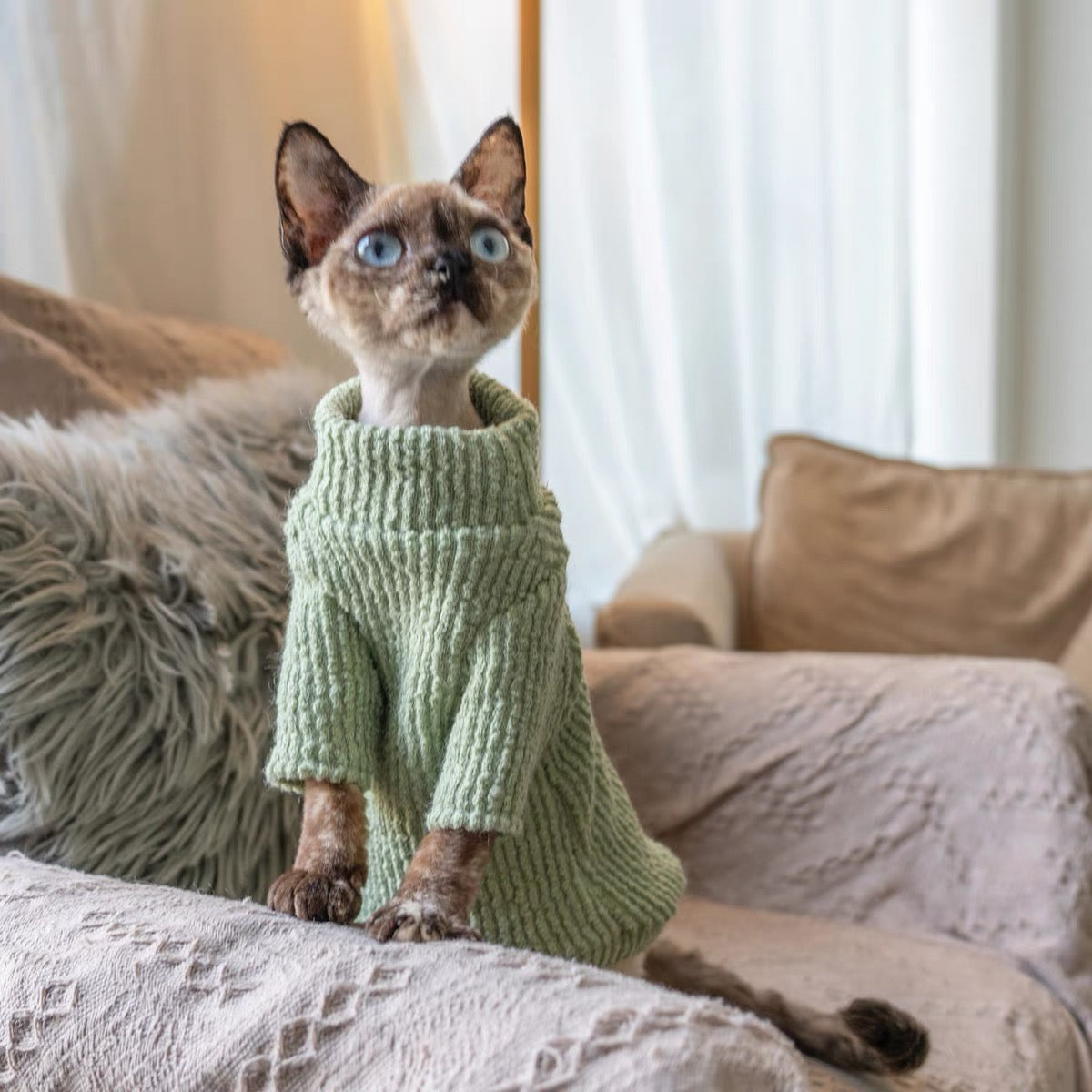 Sphynx Hairless Cats Sweater, Winter Warm Jumper for Bambino Devon Rex Sphynx Cat