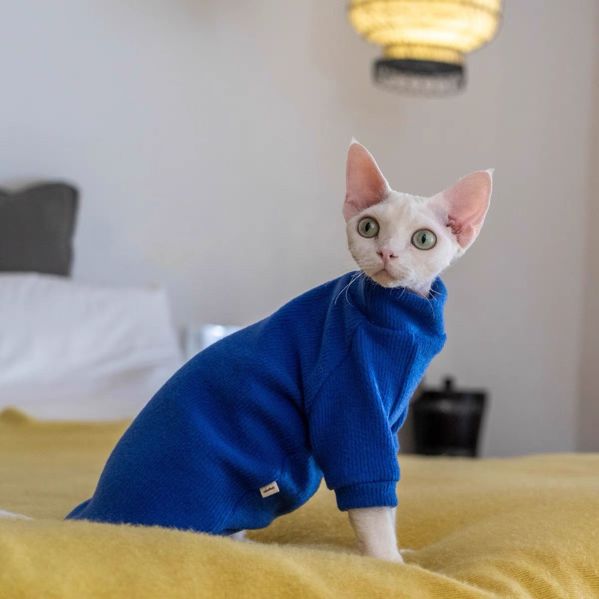 5 Colors Sphynx Hairless Cats Sweater, Winter Warm Jumper for Bambino Devon Rex Sphynx Cat