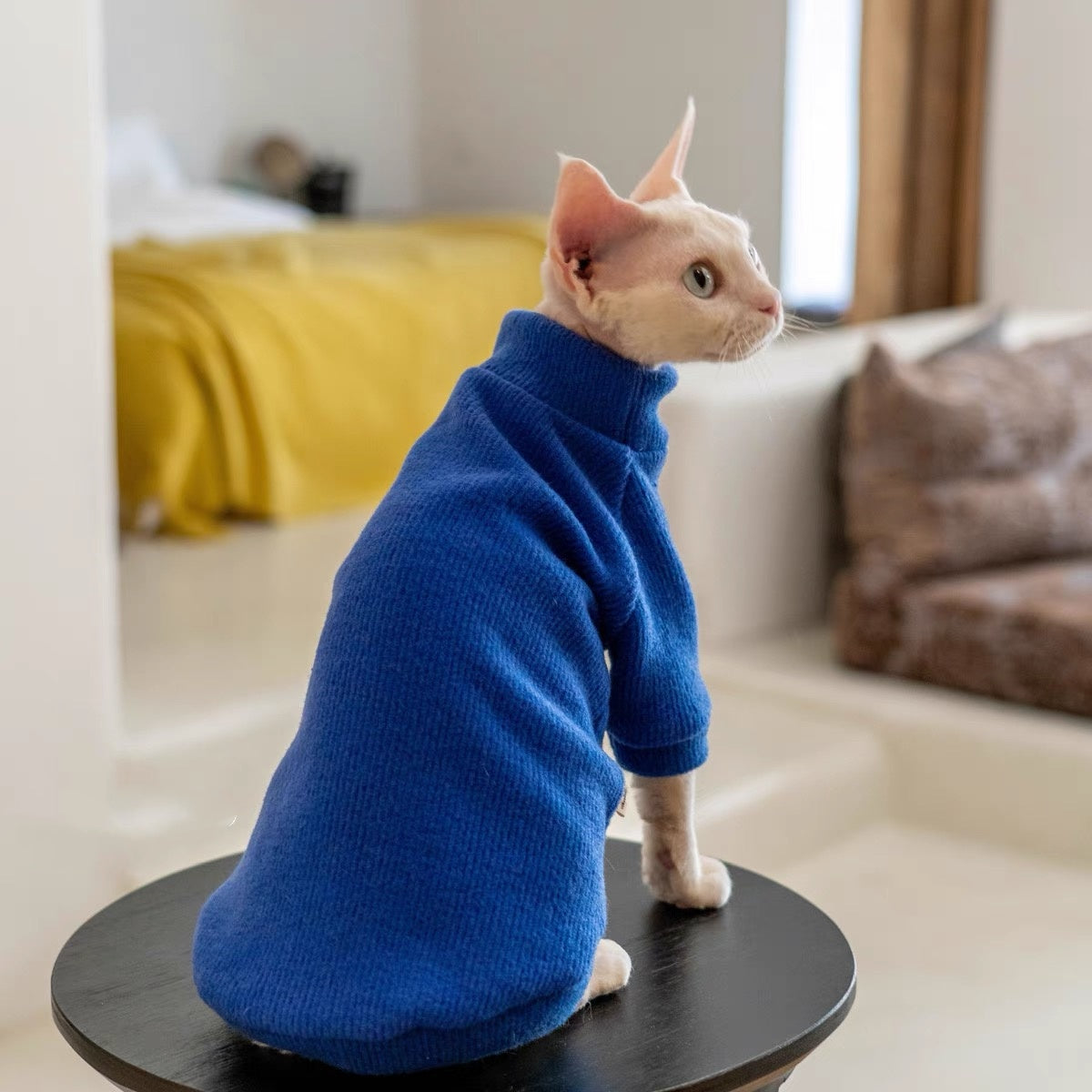 5 Colors Sphynx Hairless Cats Sweater, Winter Warm Jumper for Bambino Devon Rex Sphynx Cat