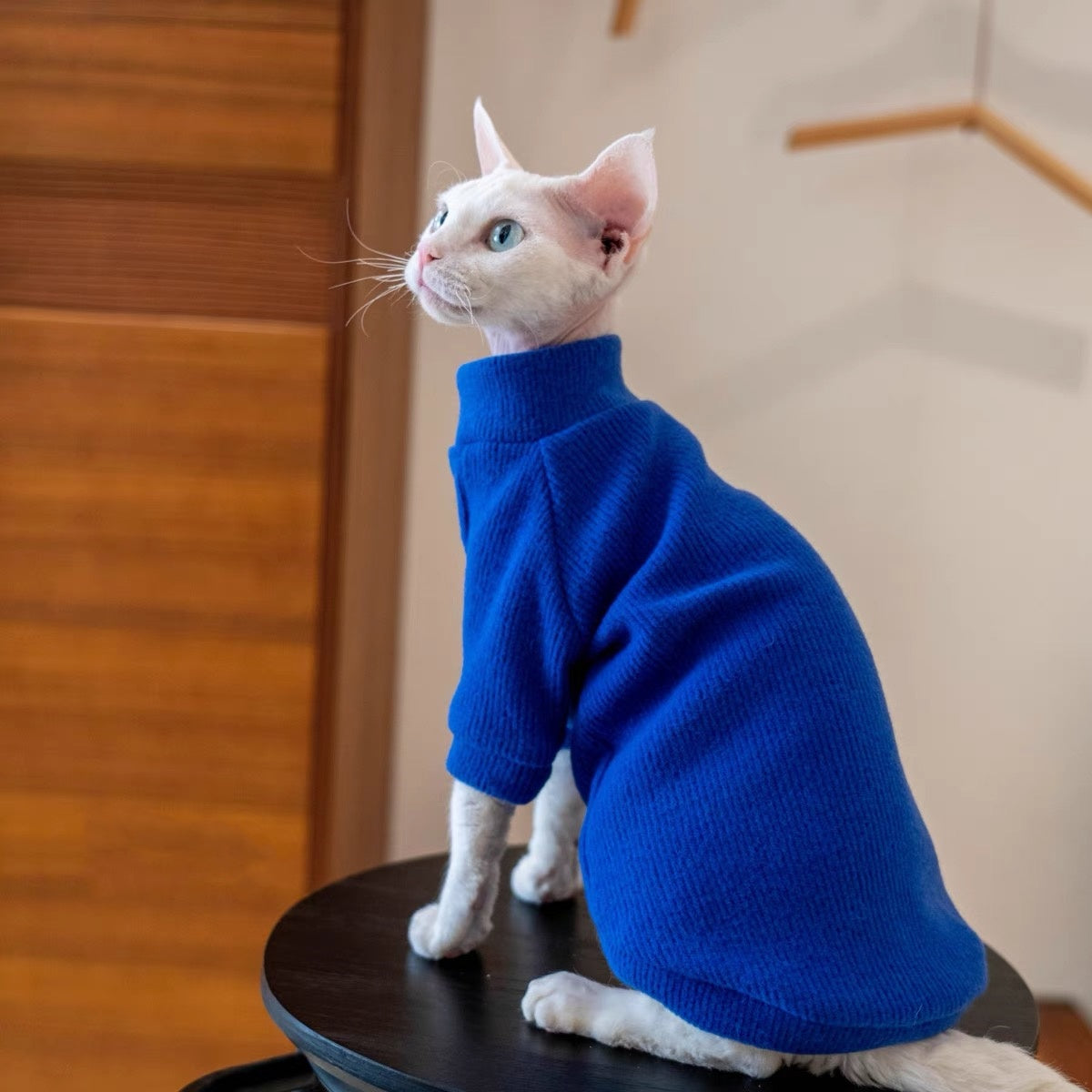 5 Colors Sphynx Hairless Cats Sweater, Winter Warm Jumper for Bambino Devon Rex Sphynx Cat