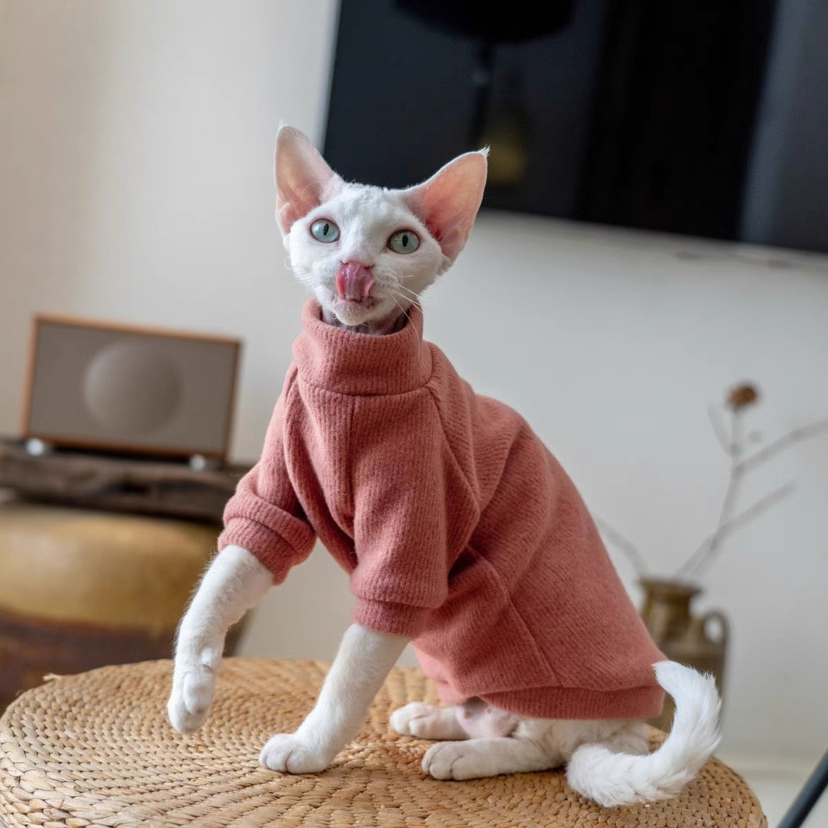 5 Colors Sphynx Hairless Cats Sweater, Winter Warm Jumper for Bambino Devon Rex Sphynx Cat