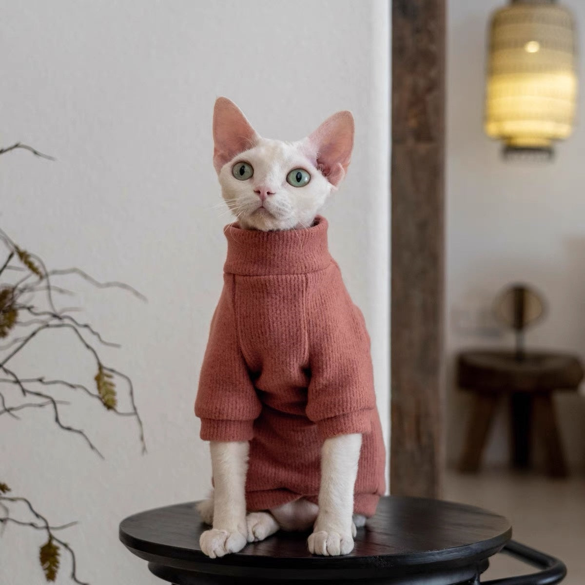 5 Colors Sphynx Hairless Cats Sweater, Winter Warm Jumper for Bambino Devon Rex Sphynx Cat