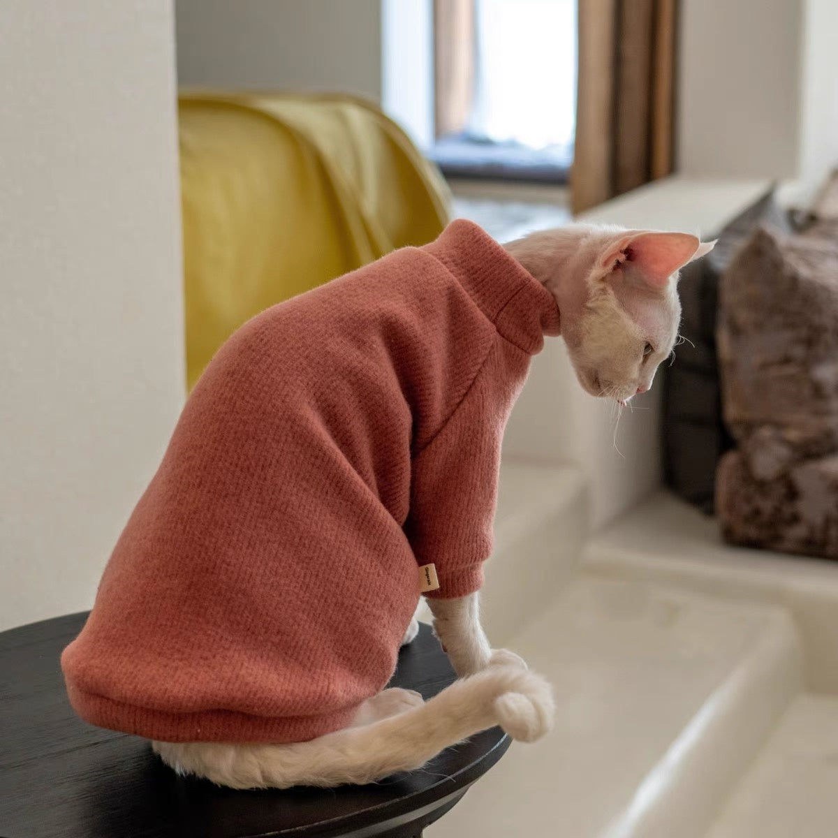 5 Colors Sphynx Hairless Cats Sweater, Winter Warm Jumper for Bambino Devon Rex Sphynx Cat