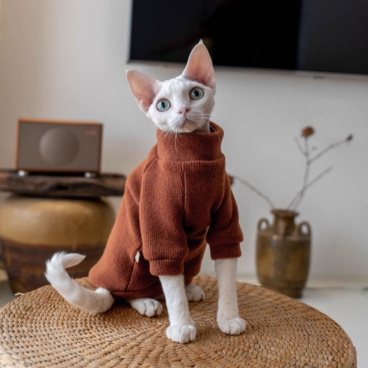 5 Colors Sphynx Hairless Cats Sweater, Winter Warm Jumper for Bambino Devon Rex Sphynx Cat