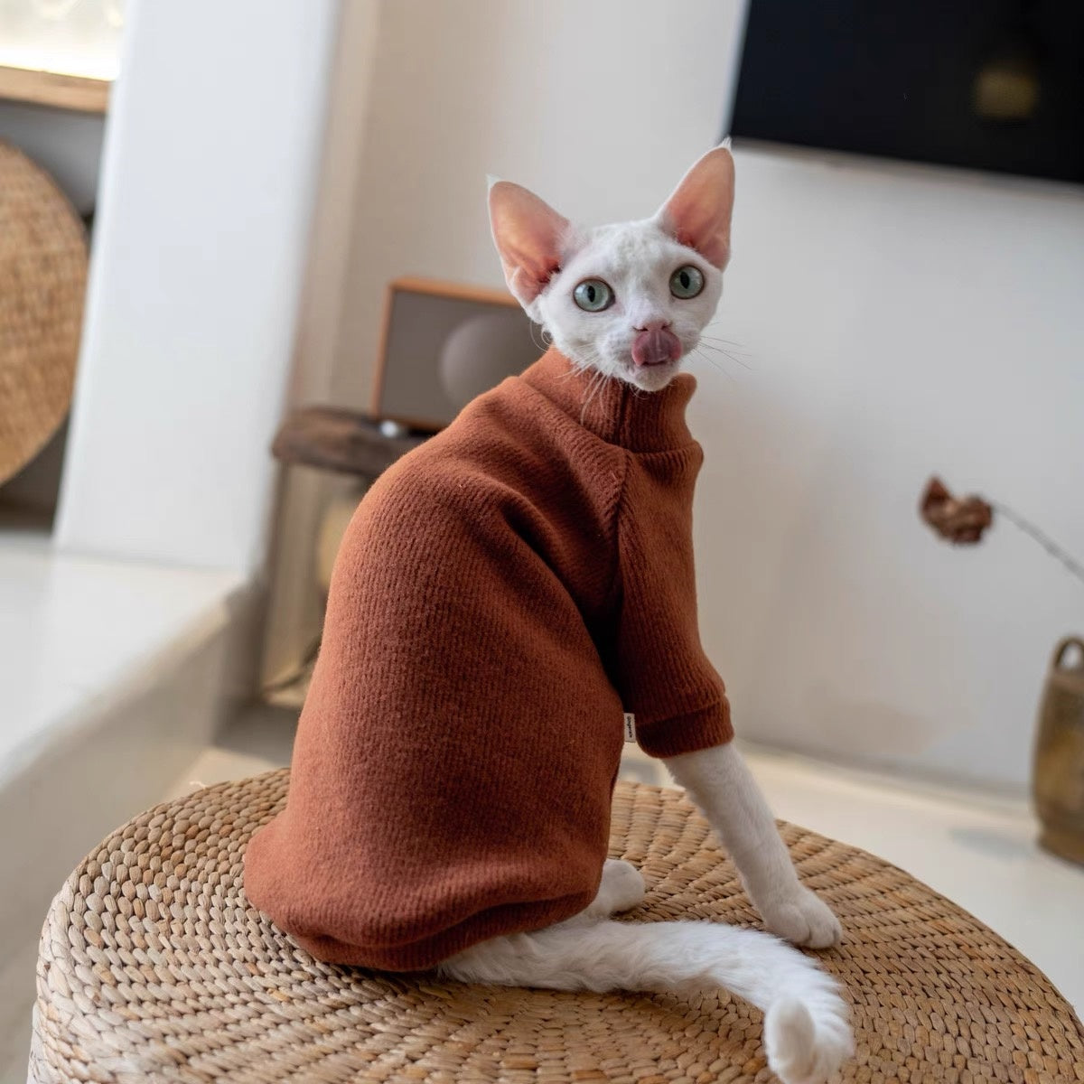 5 Colors Sphynx Hairless Cats Sweater, Winter Warm Jumper for Bambino Devon Rex Sphynx Cat