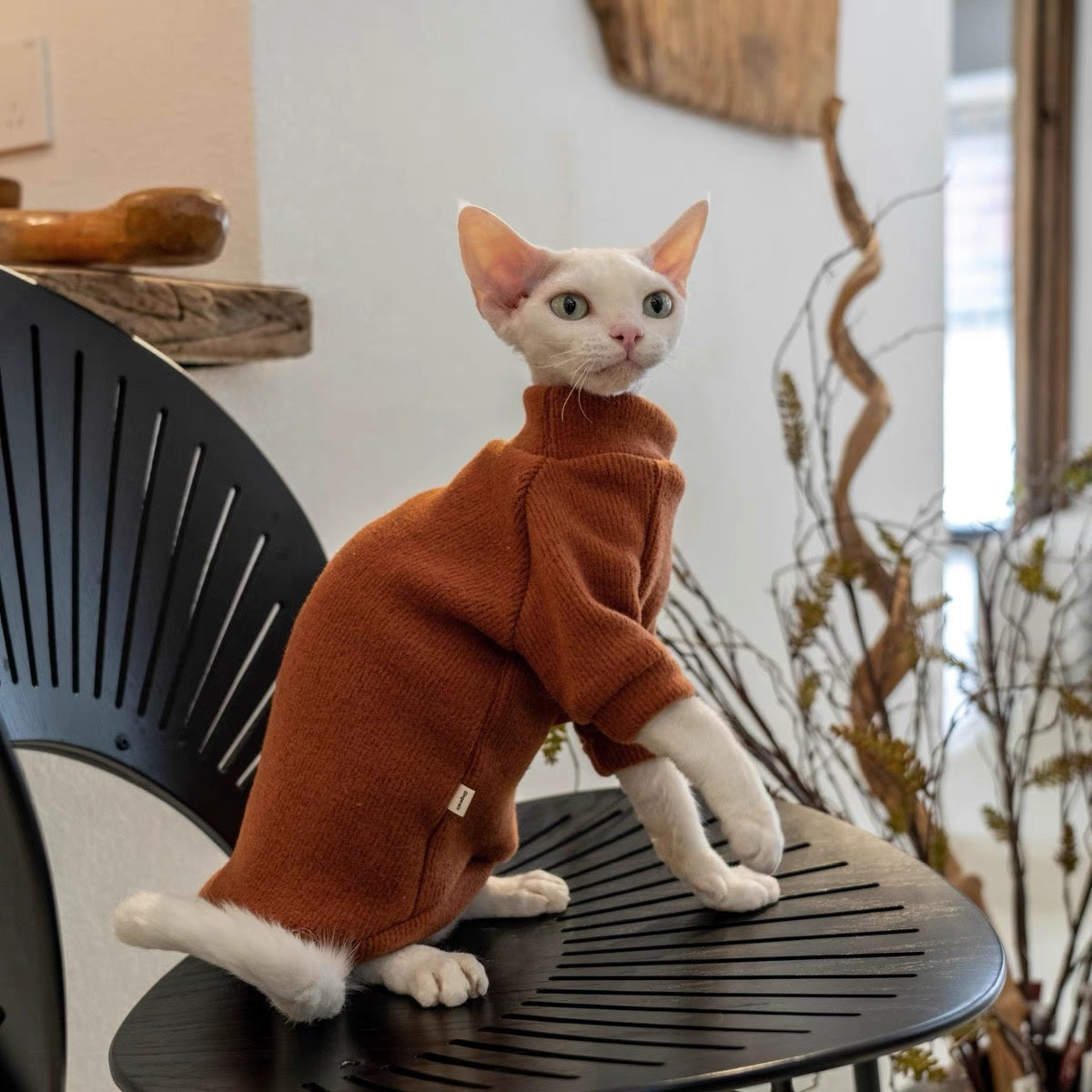 5 Colors Sphynx Hairless Cats Sweater, Winter Warm Jumper for Bambino Devon Rex Sphynx Cat