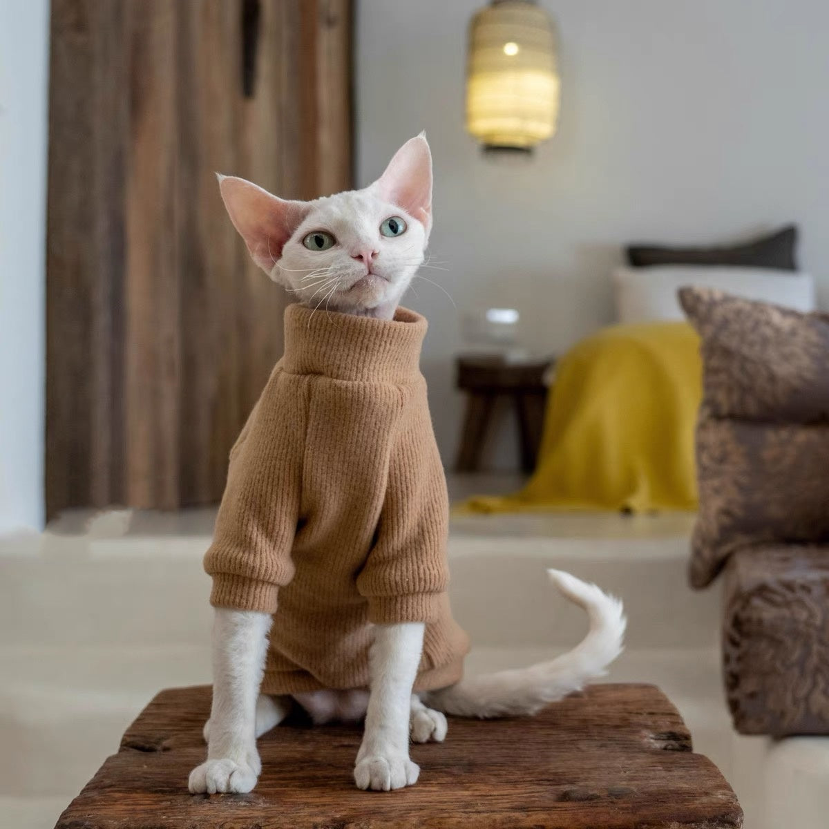 5 Colors Sphynx Hairless Cats Sweater, Winter Warm Jumper for Bambino Devon Rex Sphynx Cat