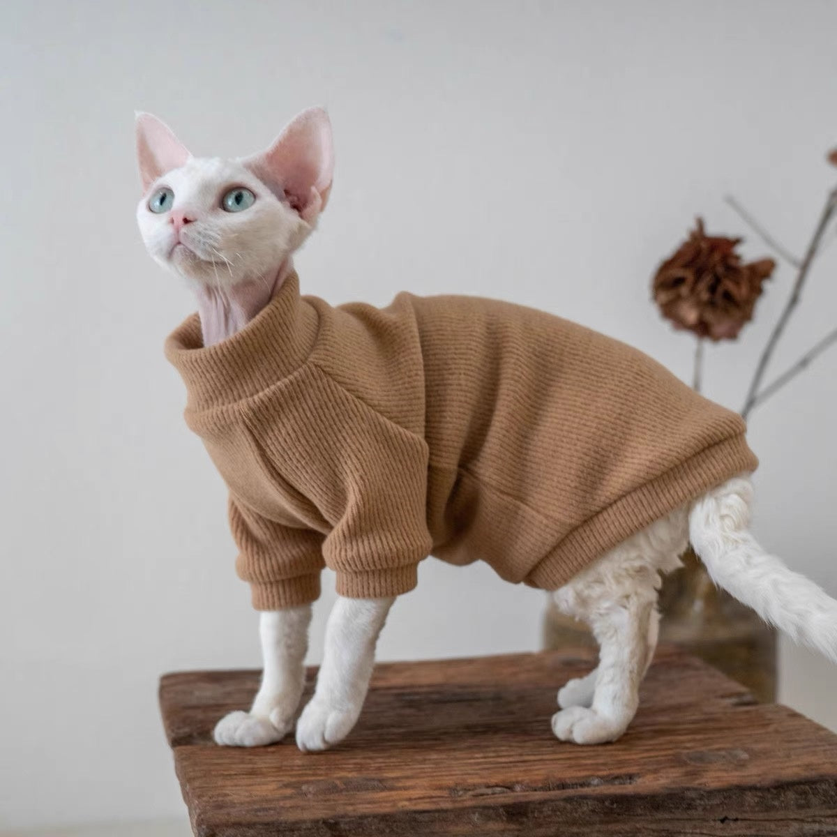 5 Colors Sphynx Hairless Cats Sweater, Winter Warm Jumper for Bambino Devon Rex Sphynx Cat