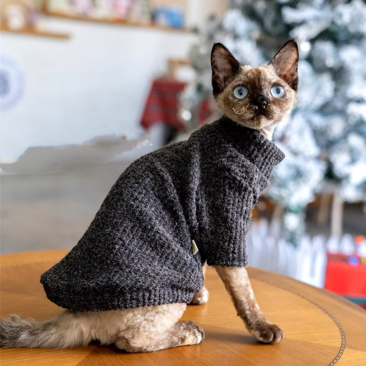 Sphynx Hairless Cats Sweater, Winter Warm Jumper for Bambino Devon Rex Sphynx Cat