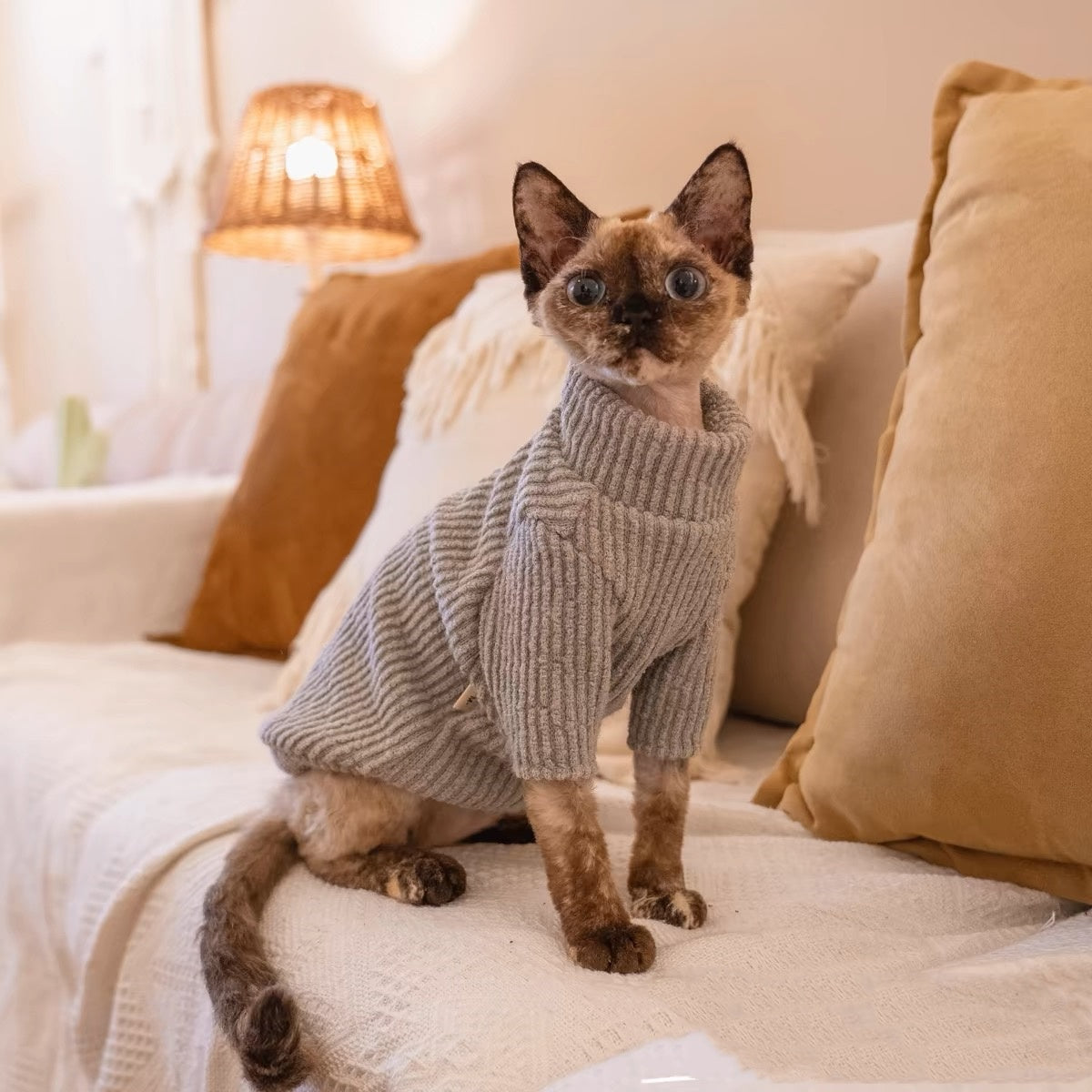 Sphynx Hairless Cats Sweater, Winter Warm Jumper for Bambino Devon Rex Sphynx Cat