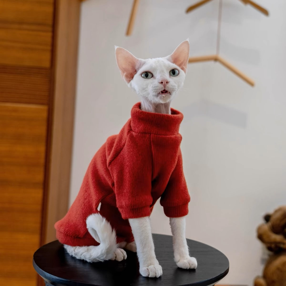 5 Colors Sphynx Hairless Cats Sweater, Winter Warm Jumper for Bambino Devon Rex Sphynx Cat