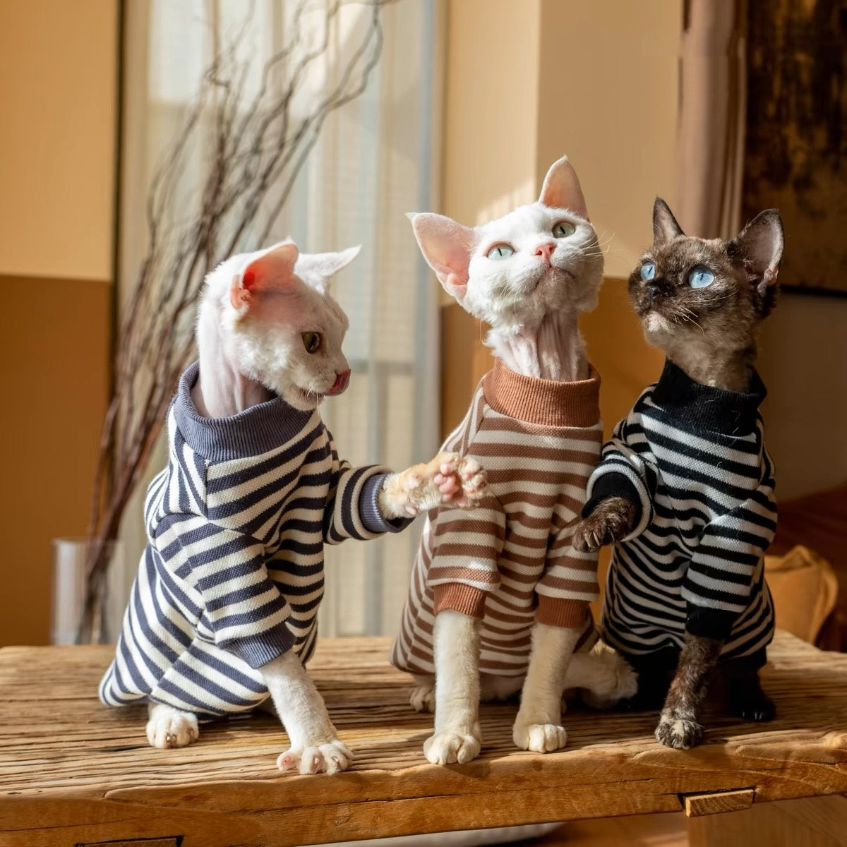 Sphynx Hairless Cats Striped Sweatshirt, Winter Warm Jumper for Bambino Devon Rex Sphynx Cat