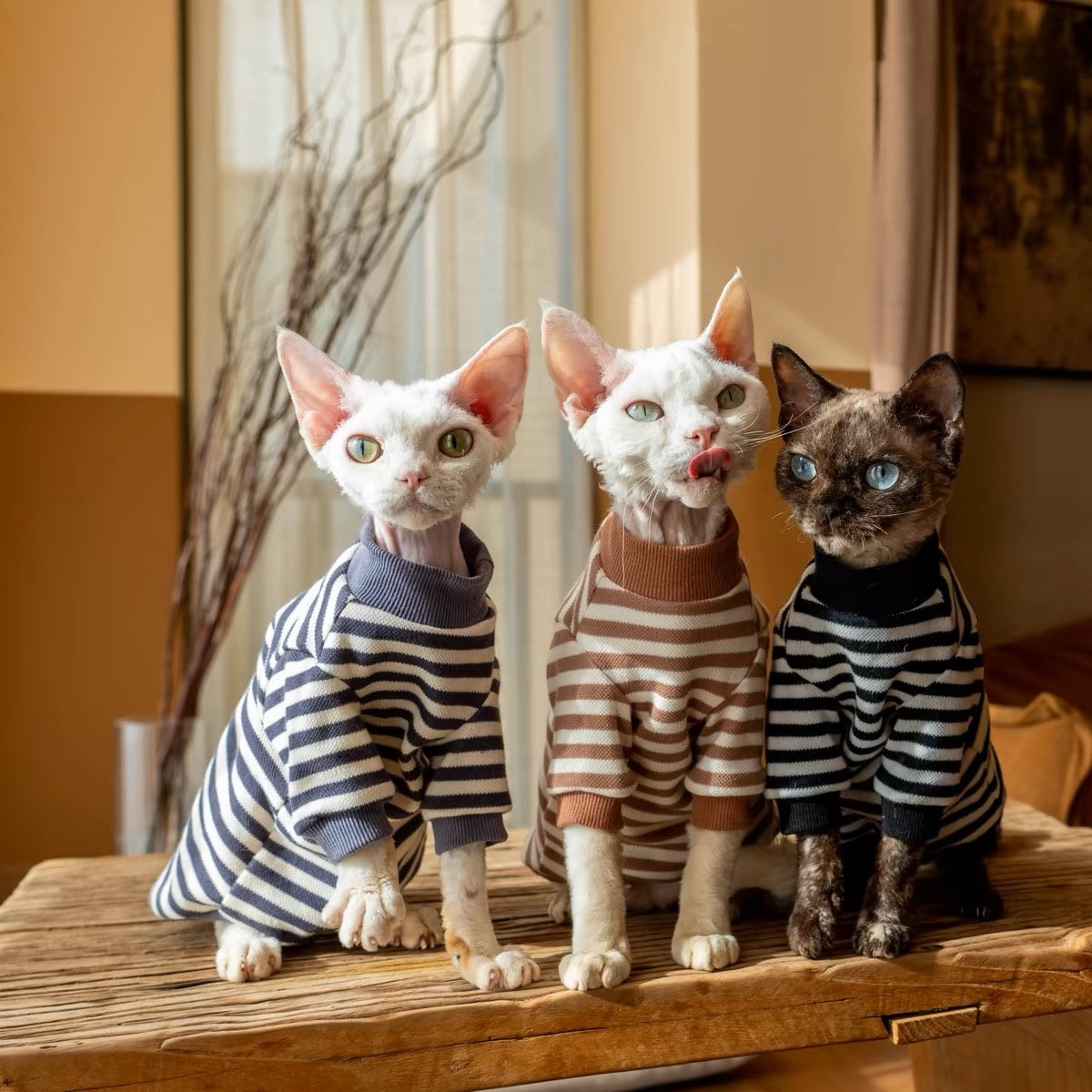 Sphynx Hairless Cats Striped Sweatshirt, Winter Warm Jumper for Bambino Devon Rex Sphynx Cat