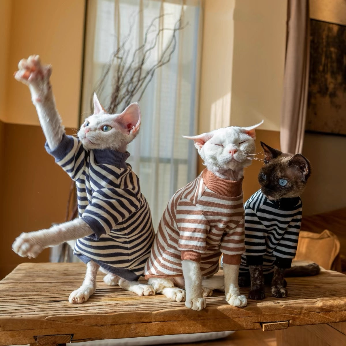 Sphynx Hairless Cats Striped Sweatshirt, Winter Warm Jumper for Bambino Devon Rex Sphynx Cat