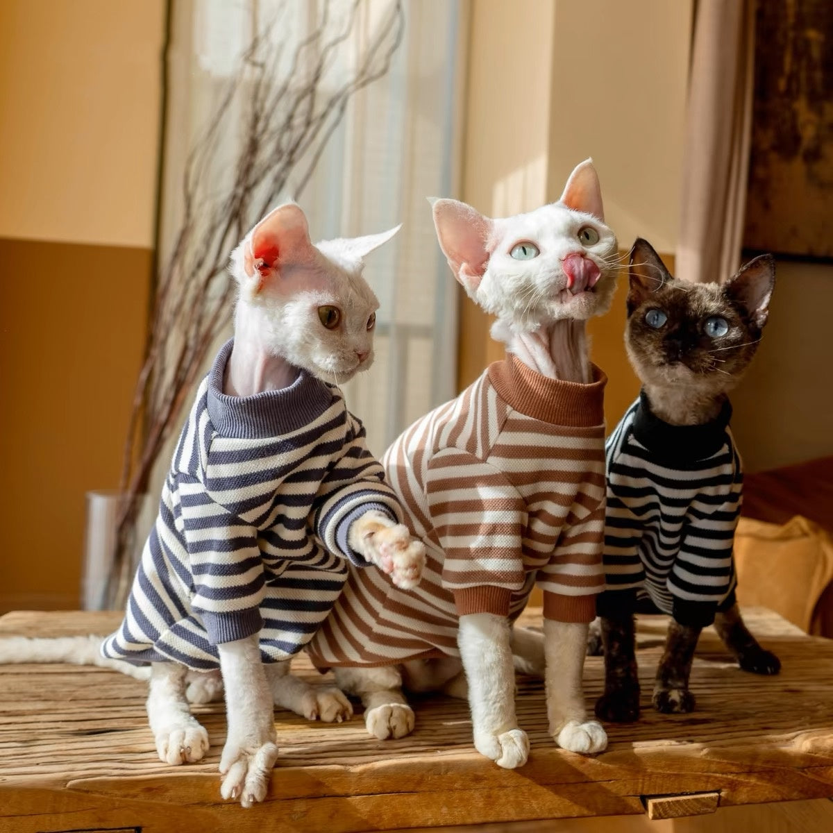 Sphynx Hairless Cats Striped Sweatshirt, Winter Warm Jumper for Bambino Devon Rex Sphynx Cat