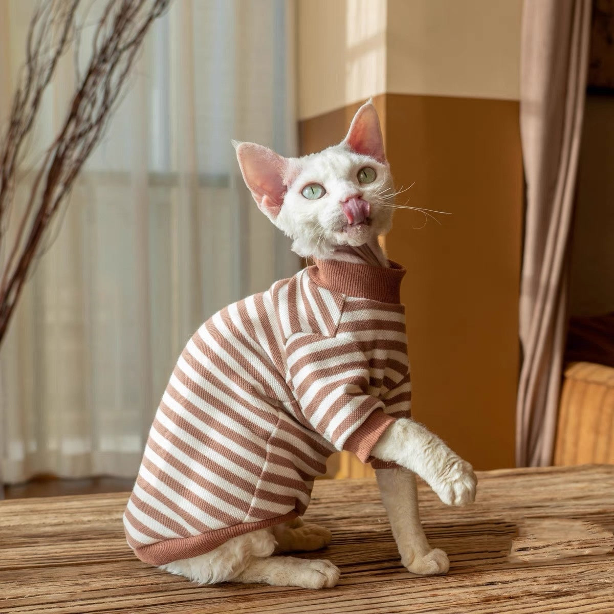 Sphynx Hairless Cats Striped Sweatshirt, Winter Warm Jumper for Bambino Devon Rex Sphynx Cat