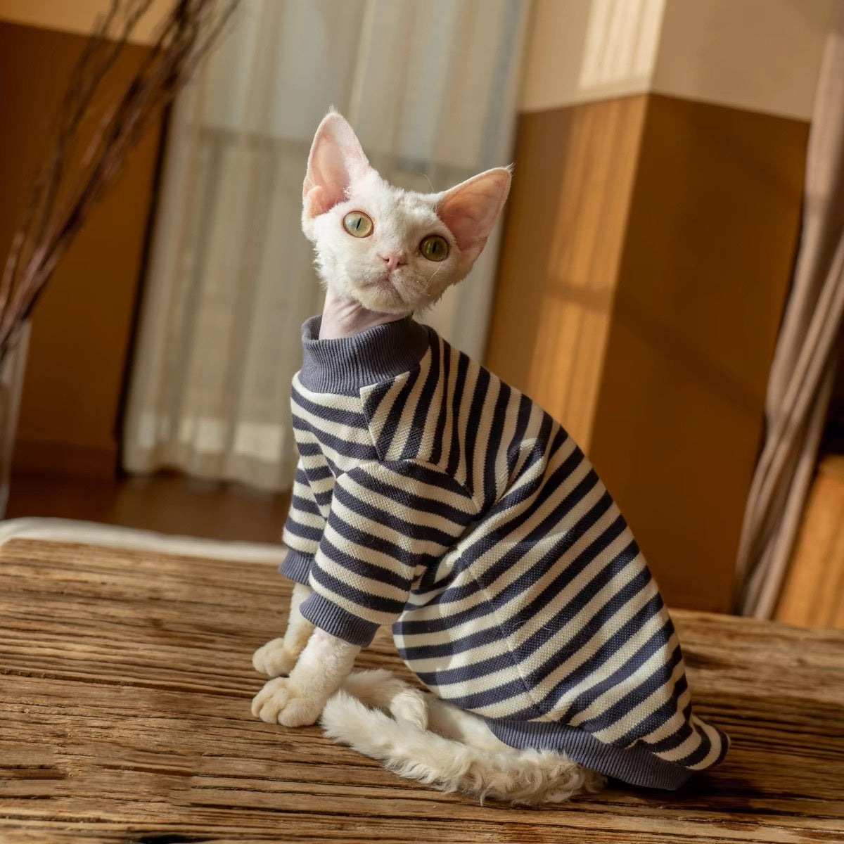 Sphynx Hairless Cats Striped Sweatshirt, Winter Warm Jumper for Bambino Devon Rex Sphynx Cat