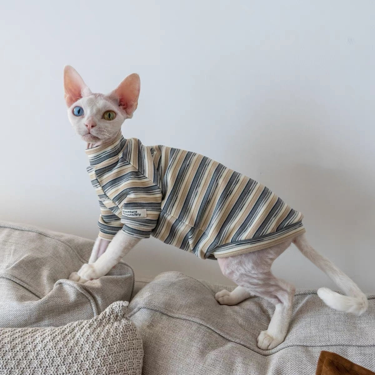 Sphynx Hairless Cats Striped Sweatshirt, Winter Warm Jumper for Bambino Devon Rex Sphynx Cat