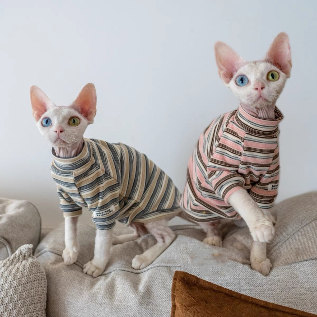 Sphynx Hairless Cats Striped Sweatshirt, Winter Warm Jumper for Bambino Devon Rex Sphynx Cat