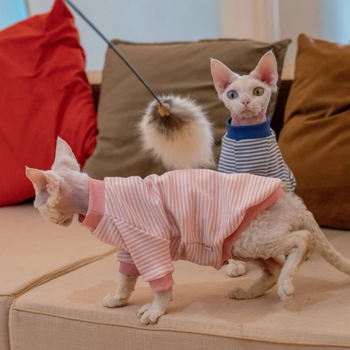 Sphynx Hairless Cats Striped Sweatshirt, Winter Warm Jumper for Bambino Devon Rex Sphynx Cat