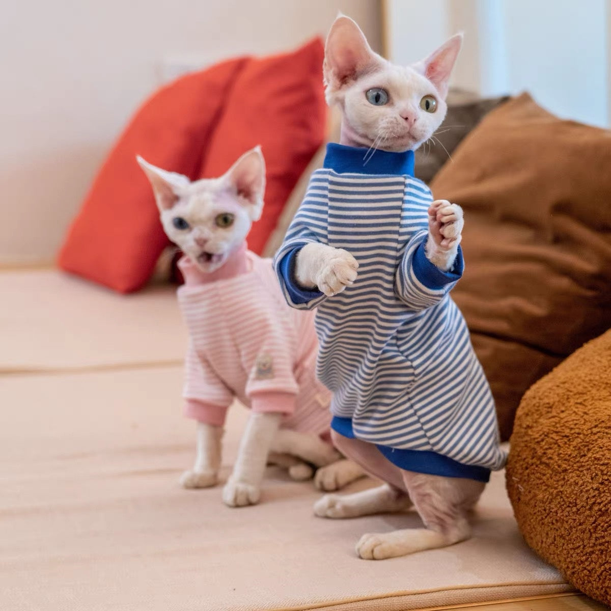 Sphynx Hairless Cats Striped Sweatshirt, Winter Warm Jumper for Bambino Devon Rex Sphynx Cat