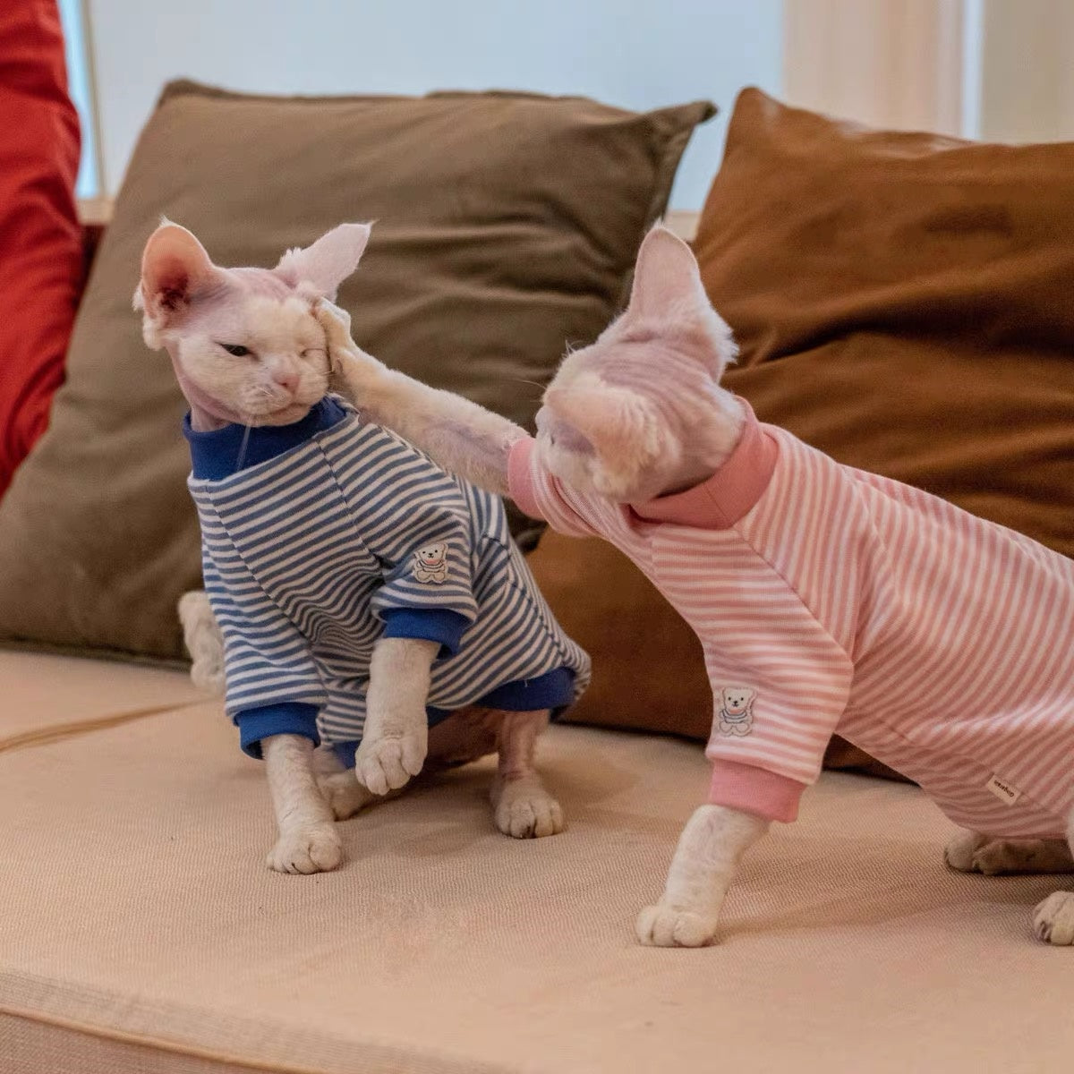 Sphynx Hairless Cats Striped Sweatshirt, Winter Warm Jumper for Bambino Devon Rex Sphynx Cat