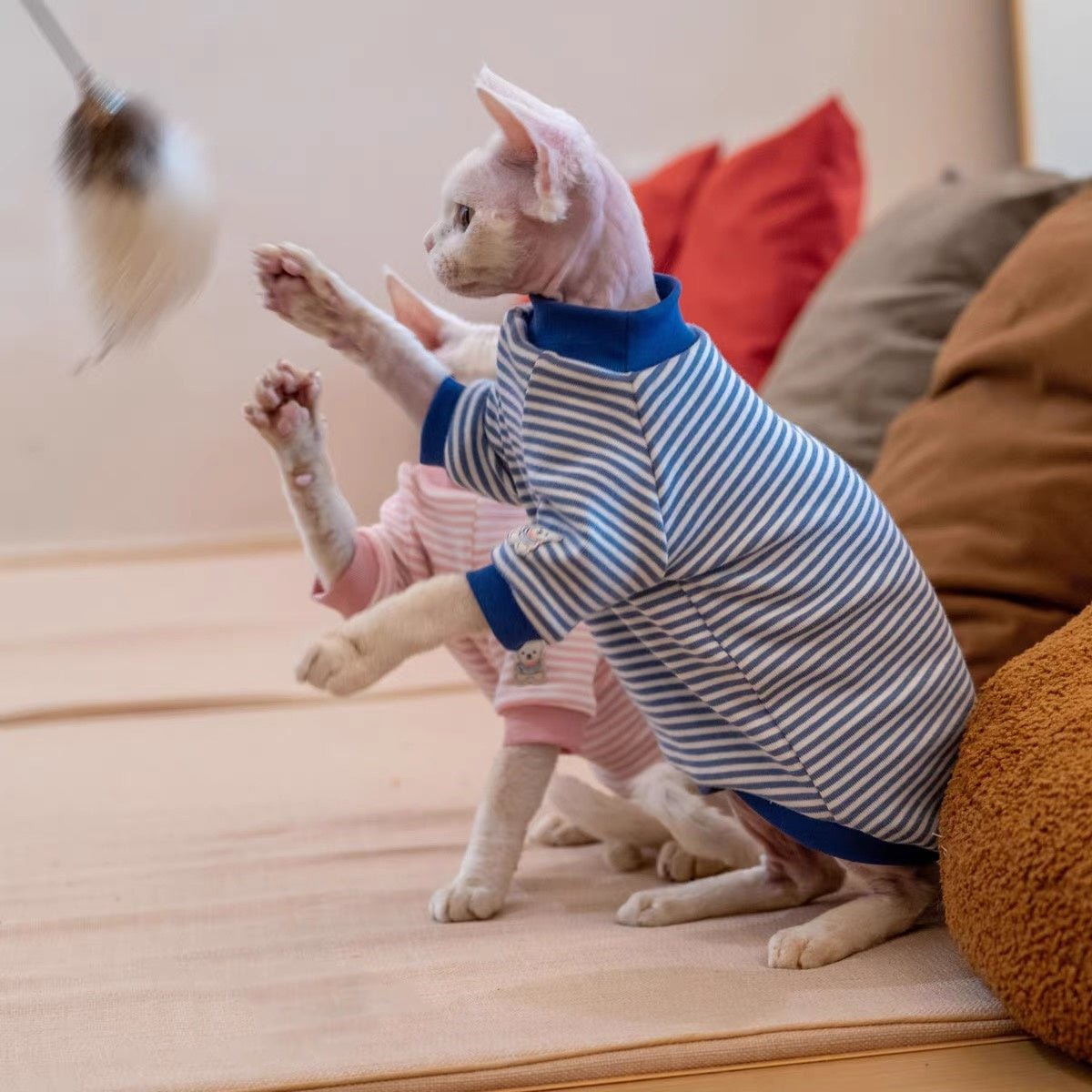 Sphynx Hairless Cats Striped Sweatshirt, Winter Warm Jumper for Bambino Devon Rex Sphynx Cat