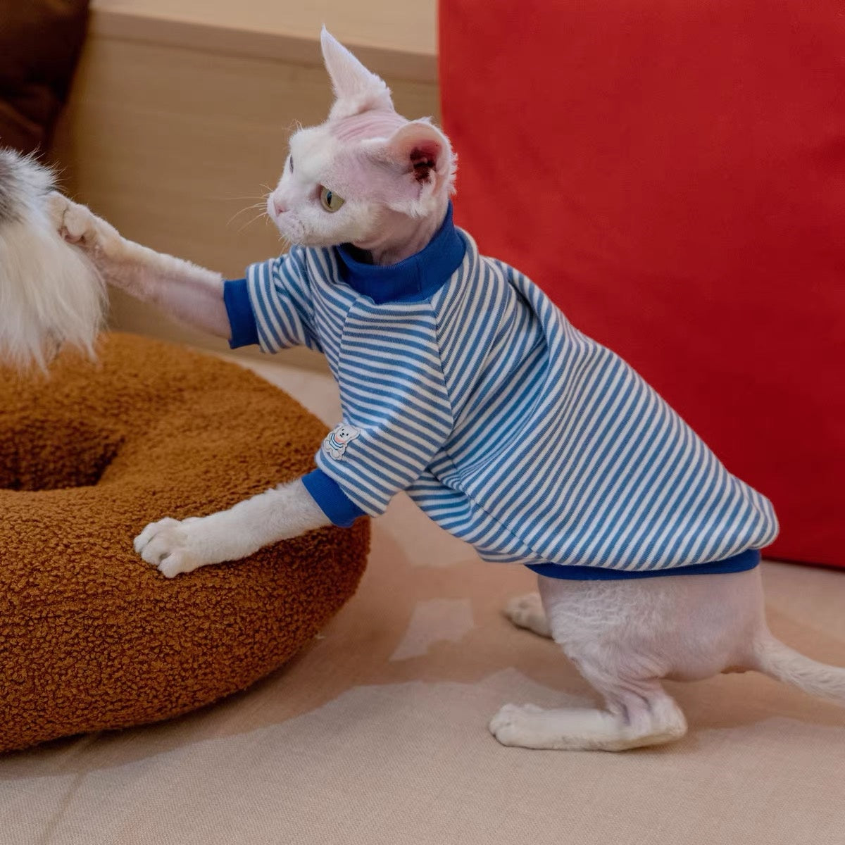 Sphynx Hairless Cats Striped Sweatshirt, Winter Warm Jumper for Bambino Devon Rex Sphynx Cat