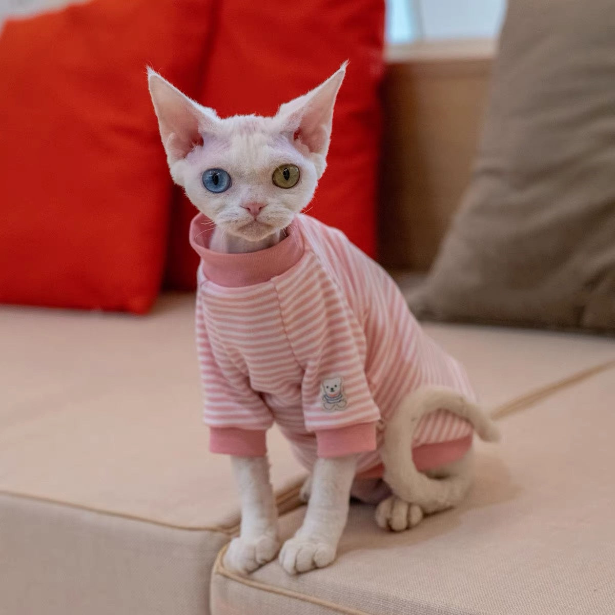 Sphynx Hairless Cats Striped Sweatshirt, Winter Warm Jumper for Bambino Devon Rex Sphynx Cat