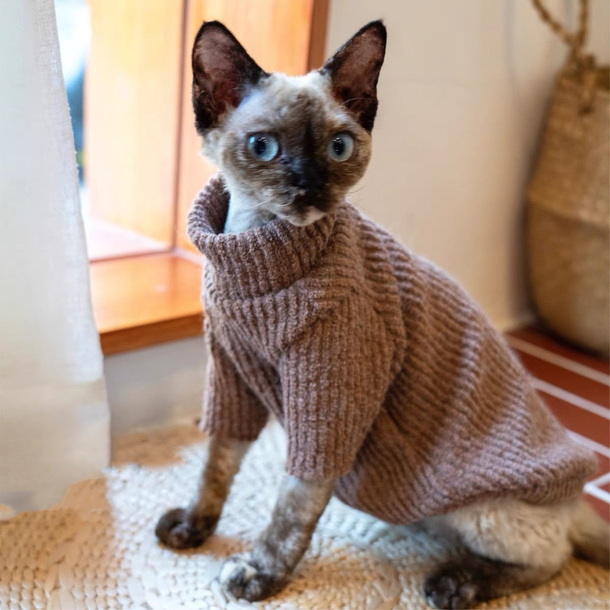 Sphynx Hairless Cats Sweater, Winter Warm Jumper for Bambino Devon Rex Sphynx Cat