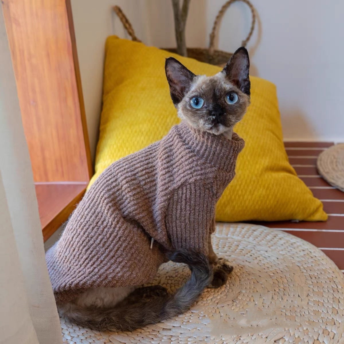 Sphynx Hairless Cats Sweater, Winter Warm Jumper for Bambino Devon Rex Sphynx Cat